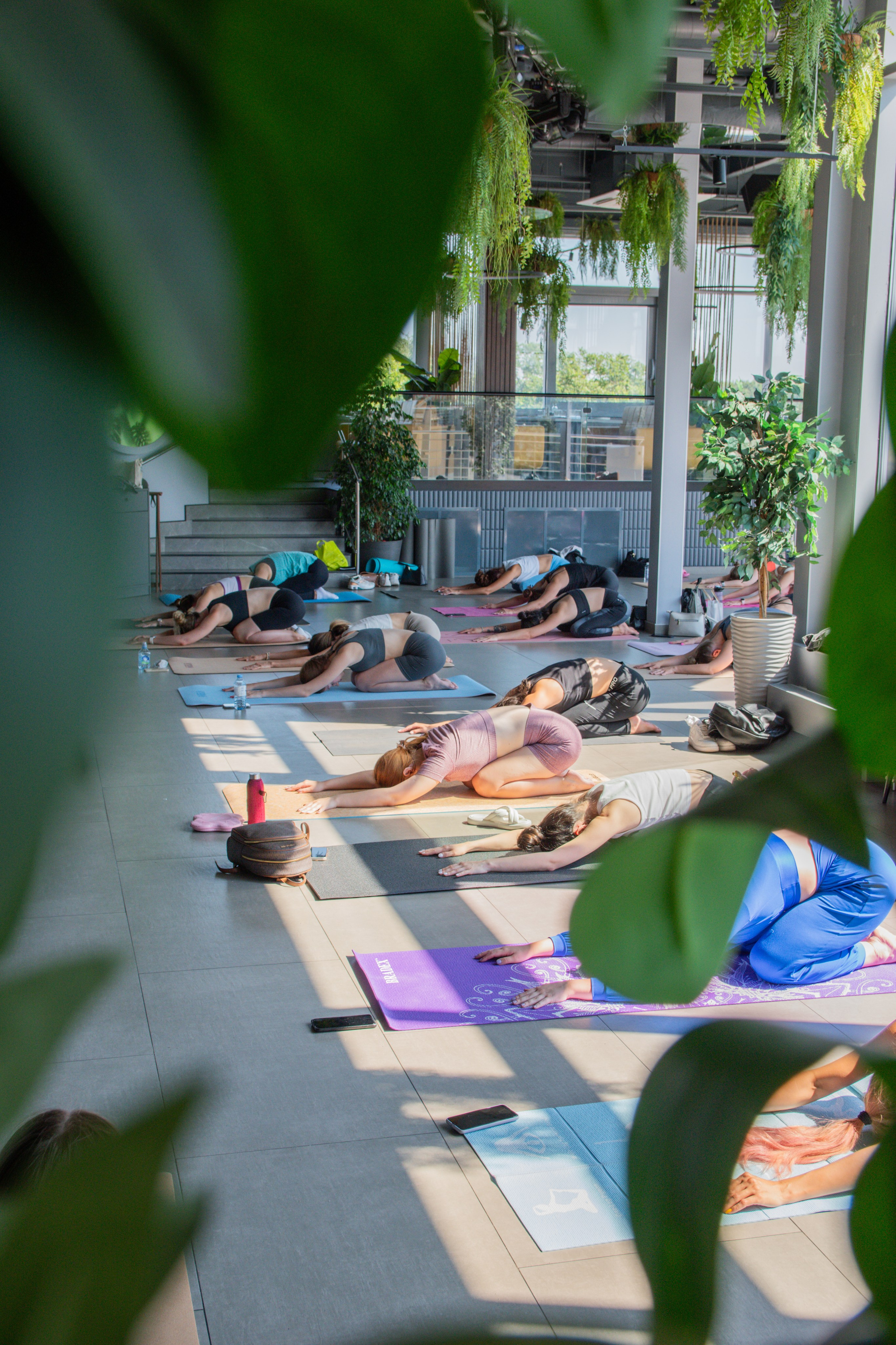 Йога-завтрак. Фотограф Лобанов Антон, г. Москва