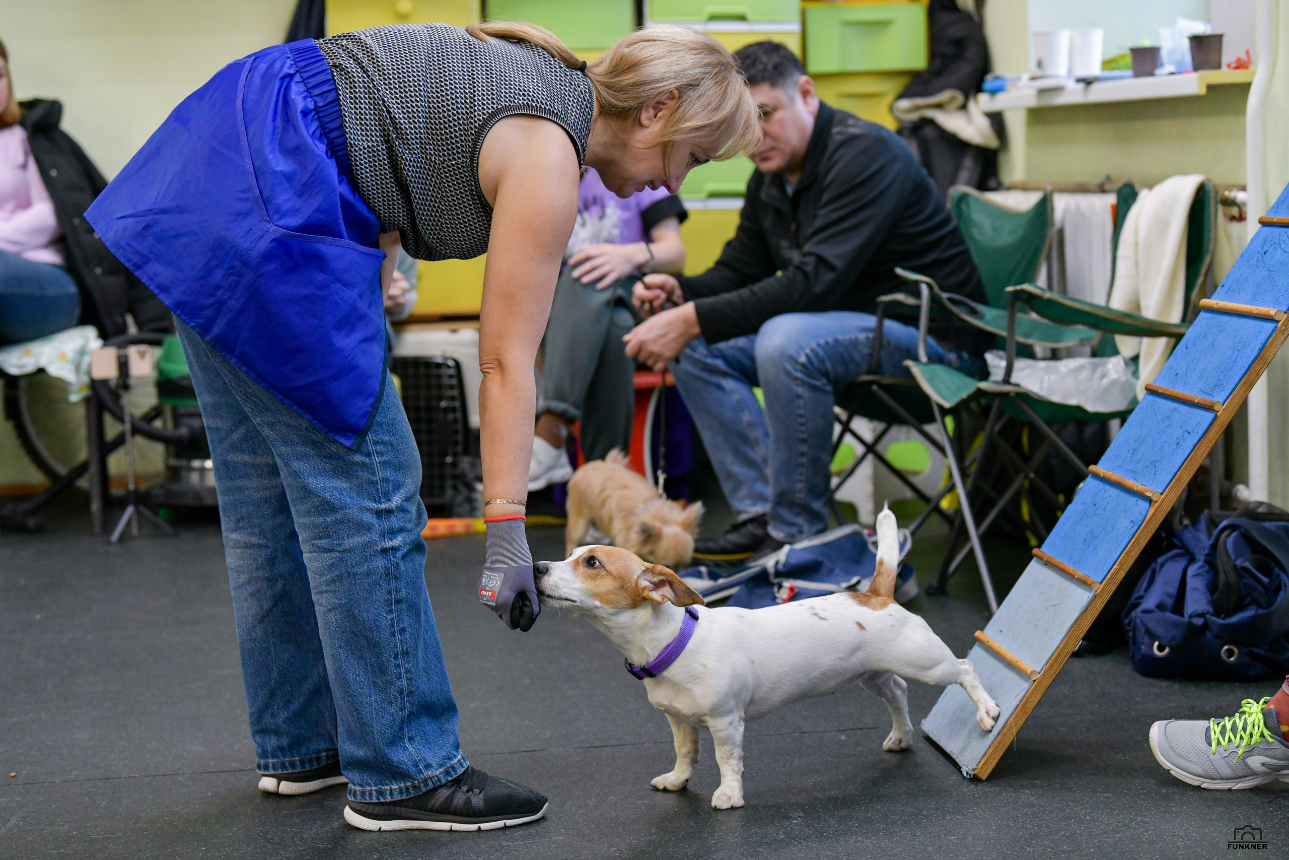 Кинологический клуб «Бодрый хвост». Свой взгляд через объектив