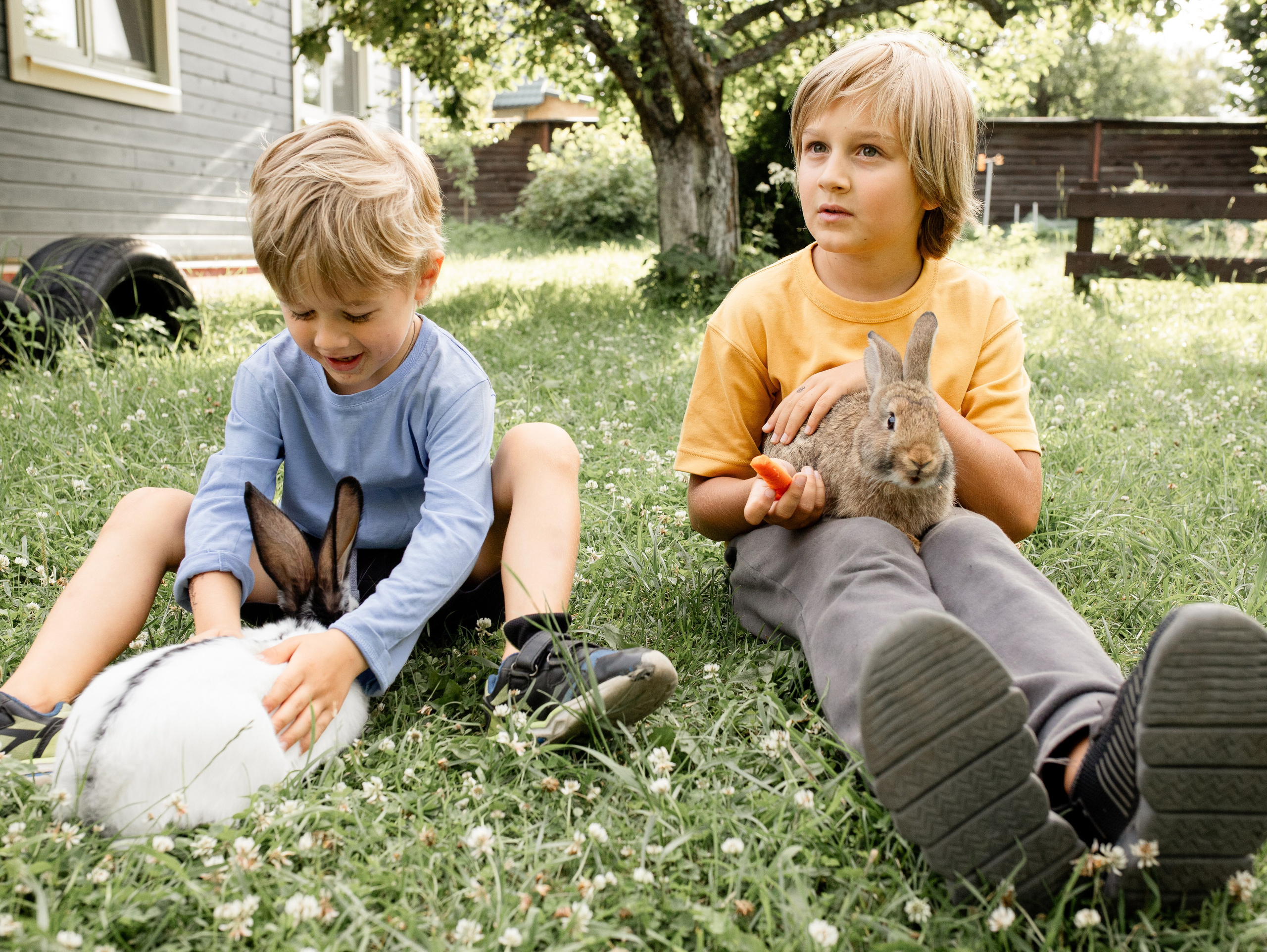 Кролики 2023. Семейный фотограф в Санкт-Петербурге Ирина Иванова