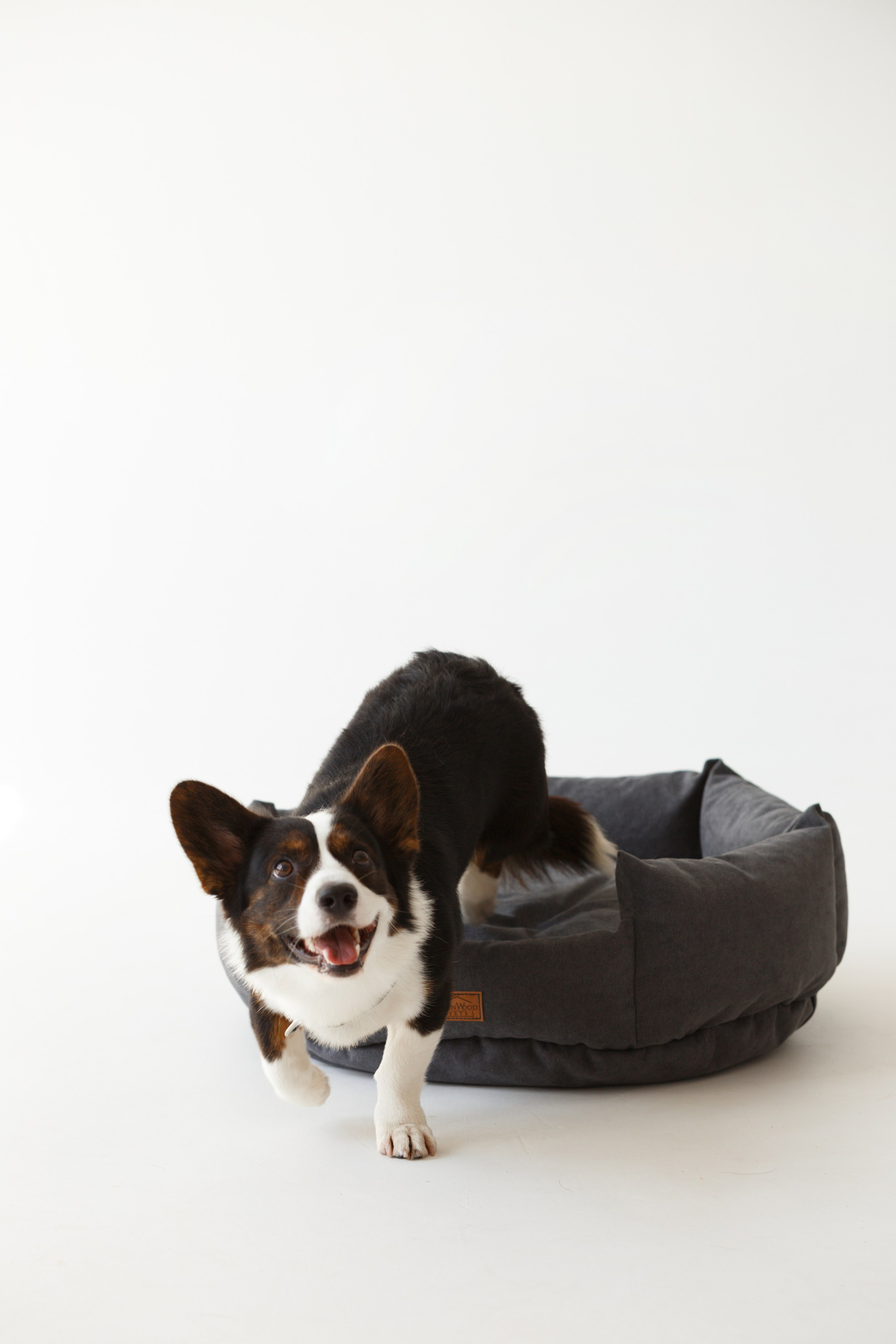 Boonwood Pets лежанки для животных. Фотограф анималист Кристина Карпова, Москва