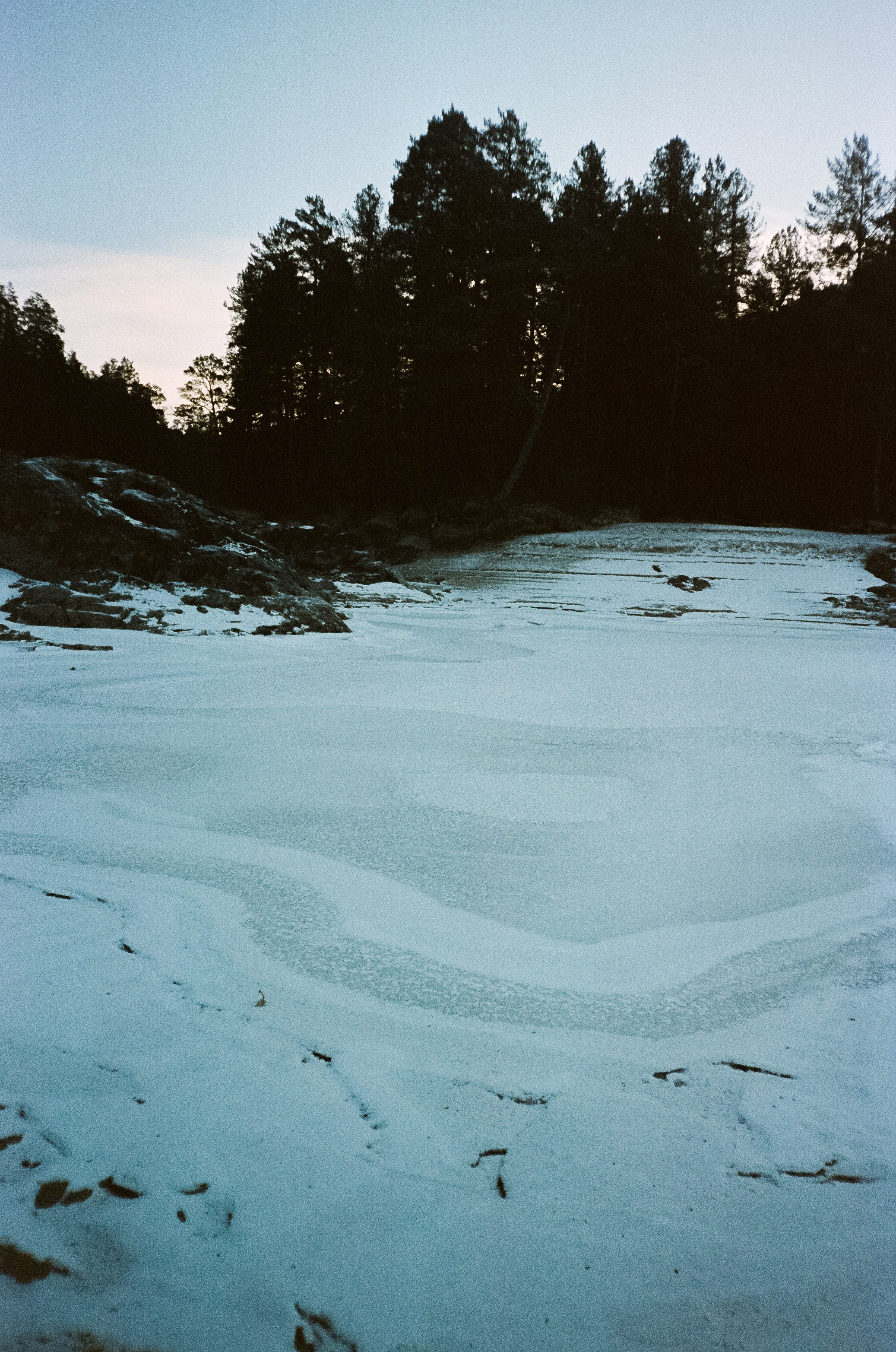 Кедровый остров в суровый мороз. Фотограф-документалист Мария Осокина