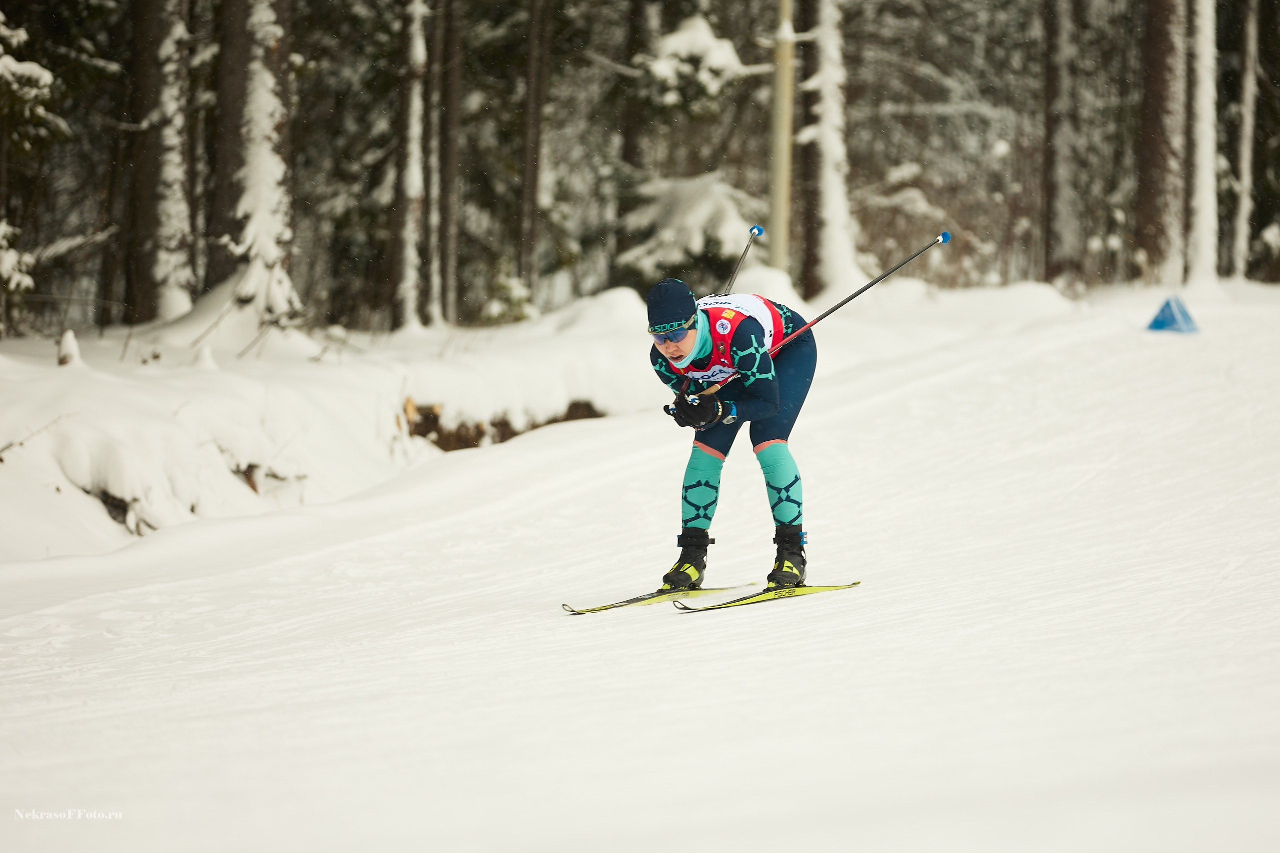Кубок России по Лыжным гонкам. Спортивный фотограф Некрасов Денис