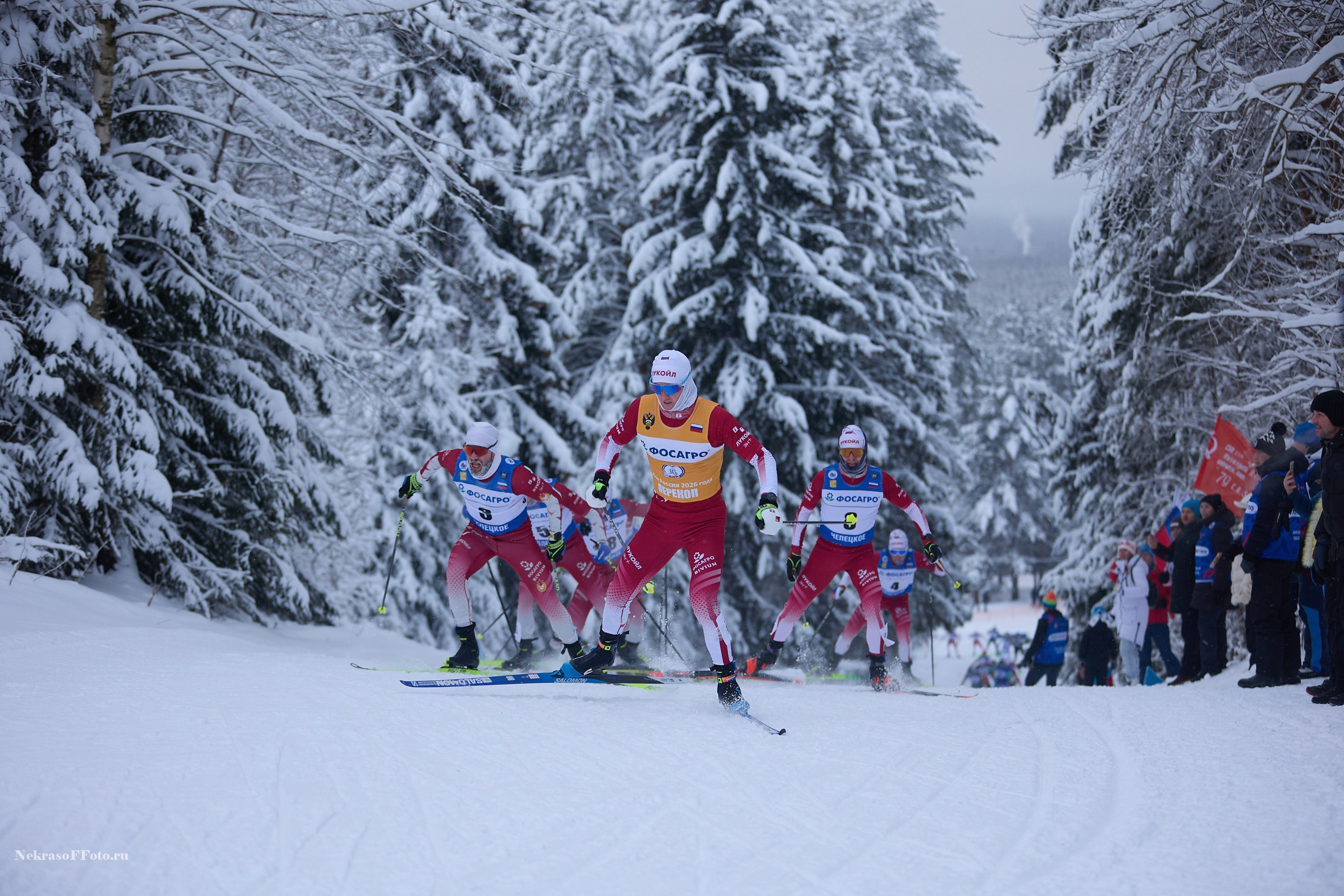 Кубок России по Лыжным гонкам. Спортивный фотограф Некрасов Денис