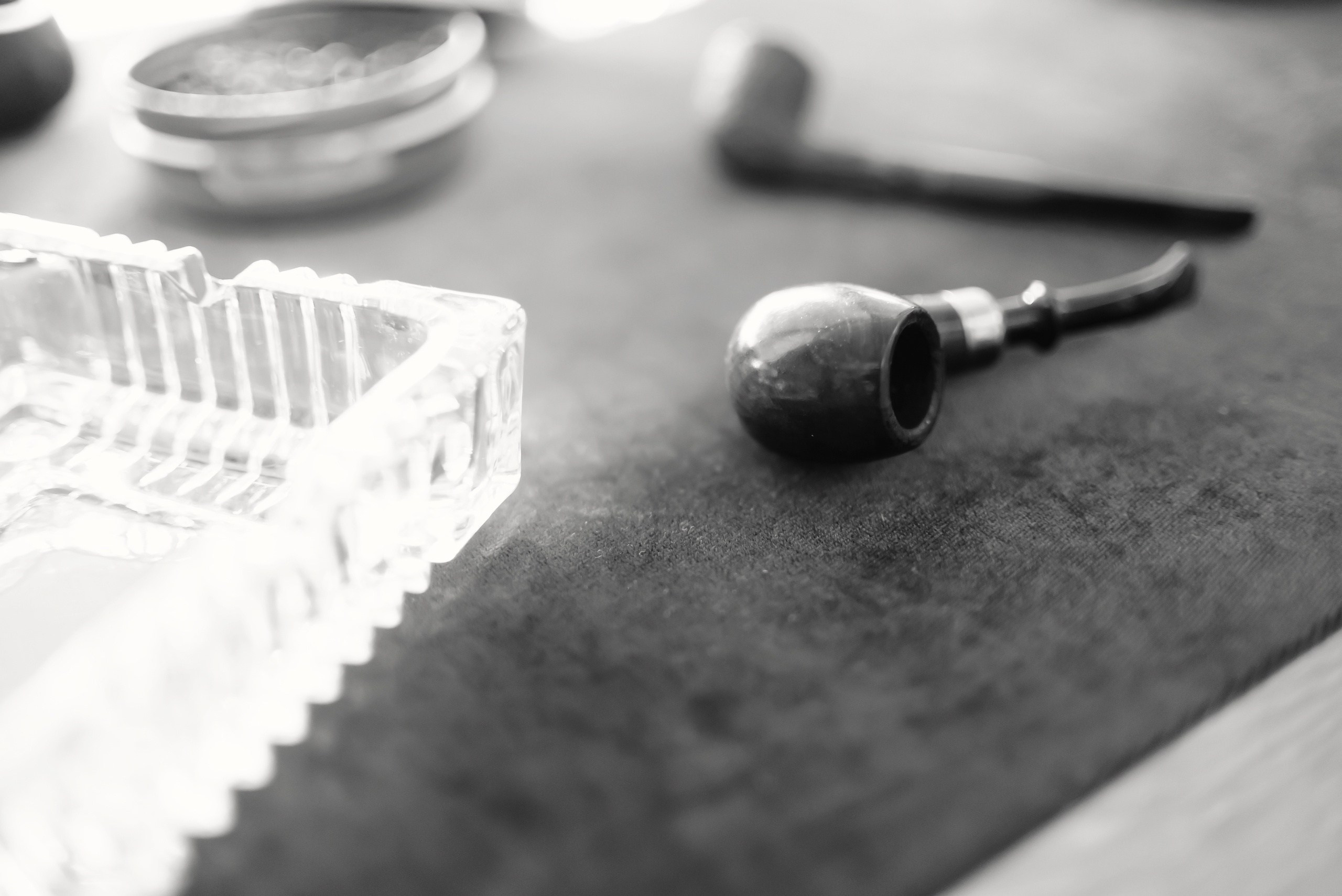 Фото: Артем и Анна Приходько 