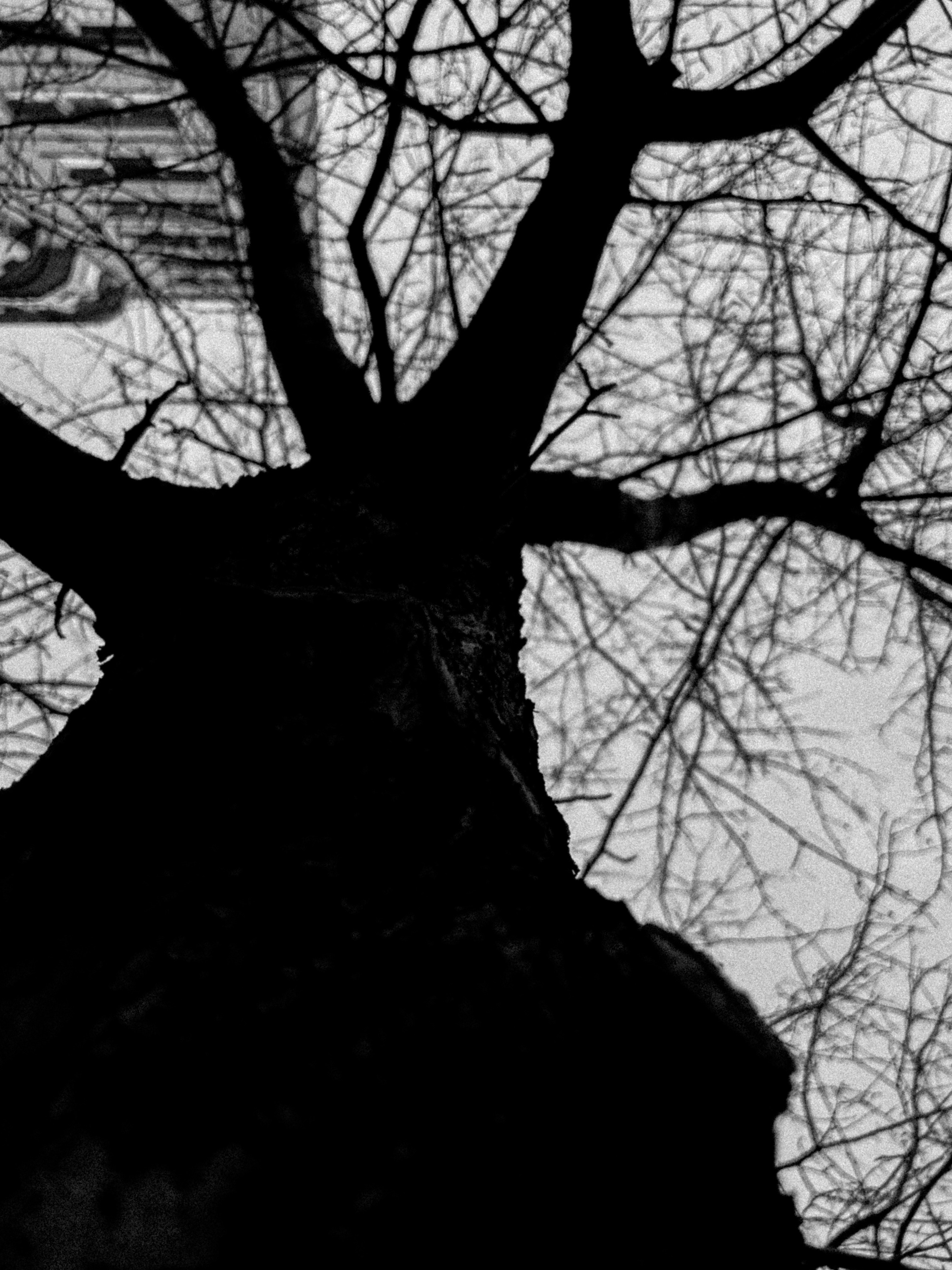 Город Н. Предание о руинах: АРХИВ ПУСТОТЫ