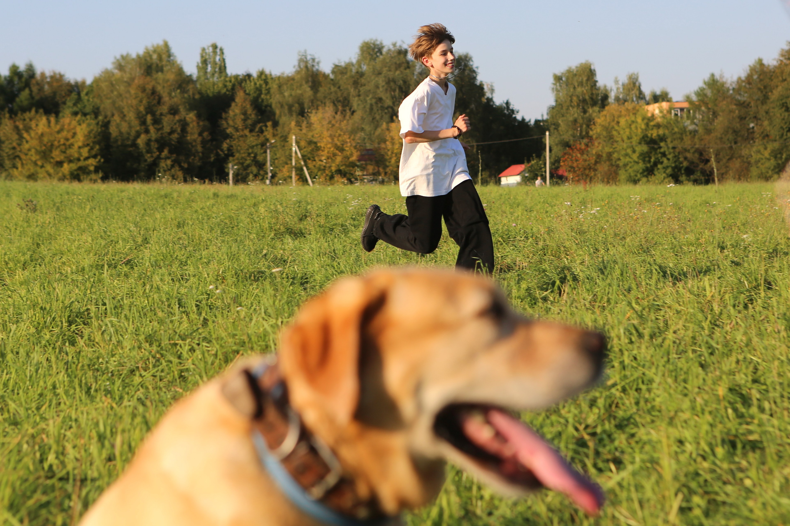 мальчик с собакой