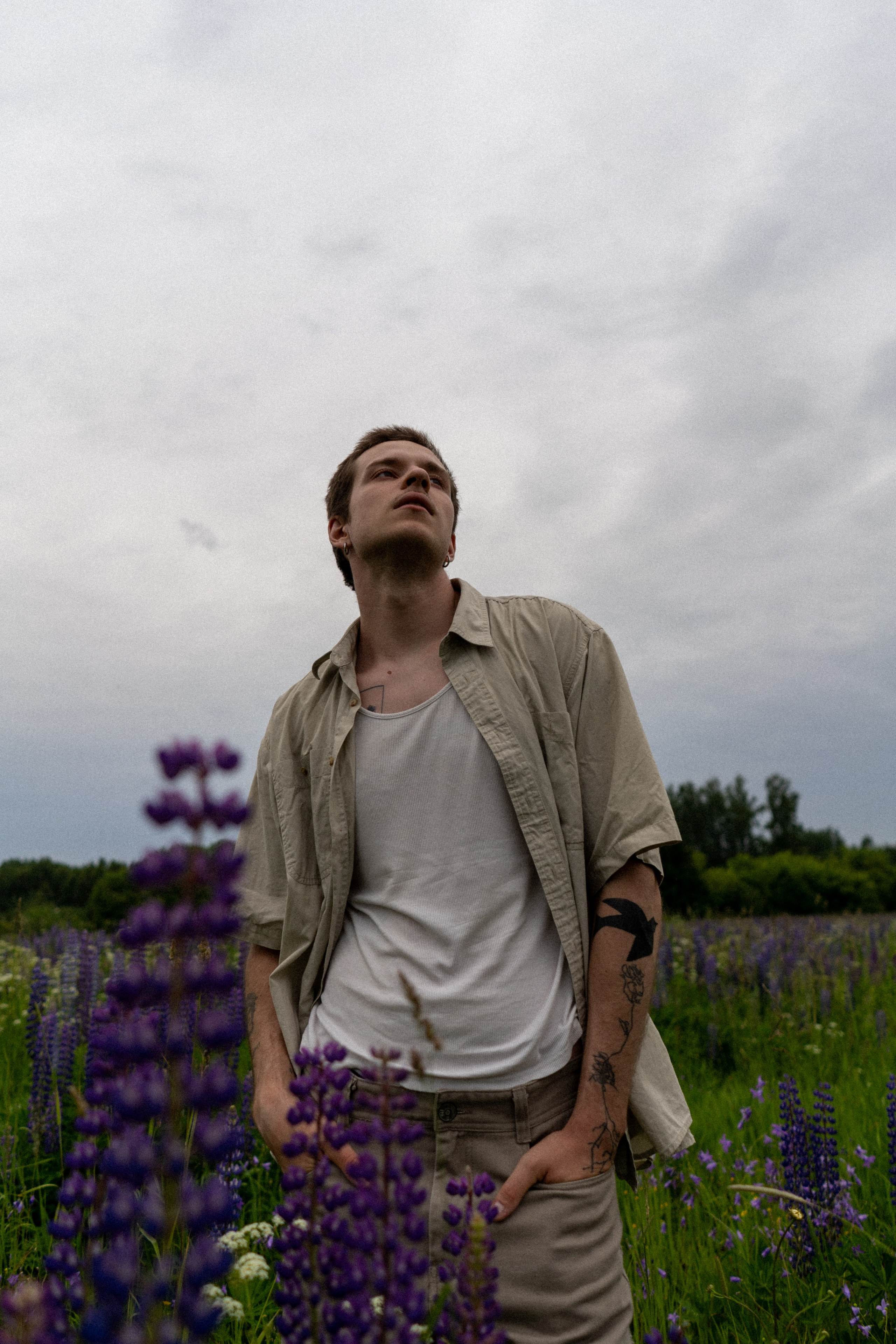 В поле люпинов. Фотограф Елизавета Потешкина