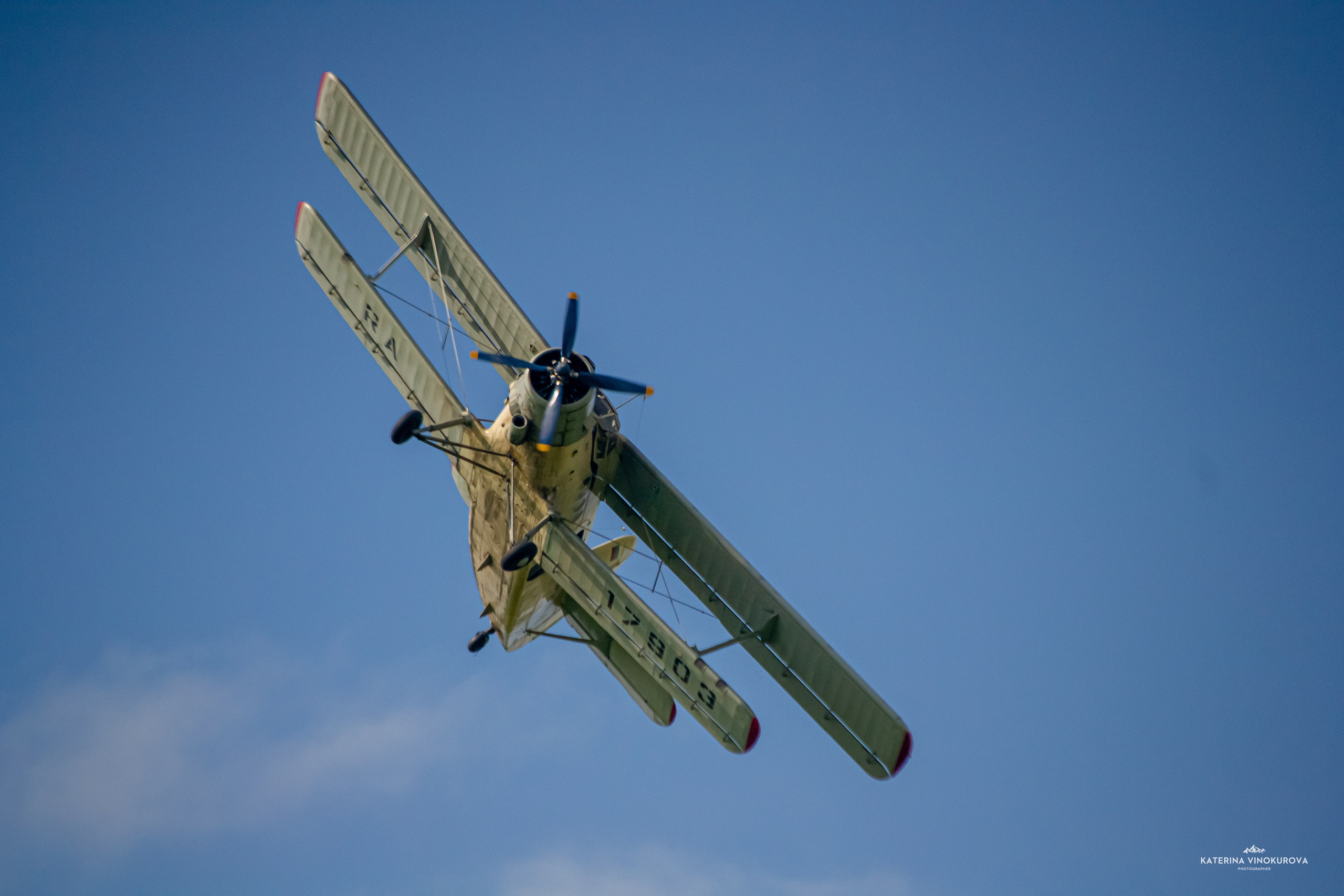 Крылья Пармы 2024 г. KATERINA VINOKUROVA ФОТОГРАФ ПЕРМЬ