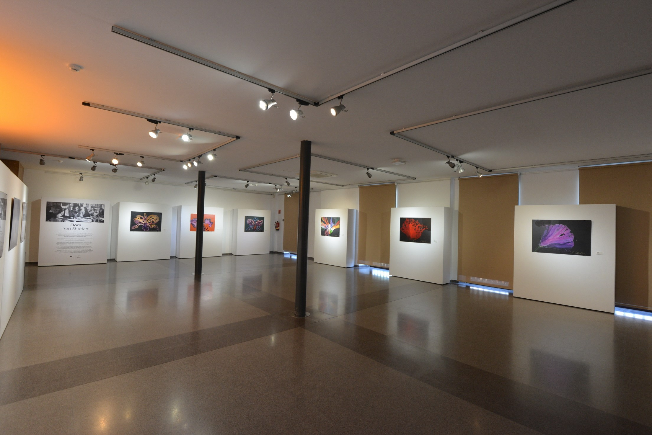 Exposición de Arte Abstracto. Fotógrafo Aleksandr Rybintsev