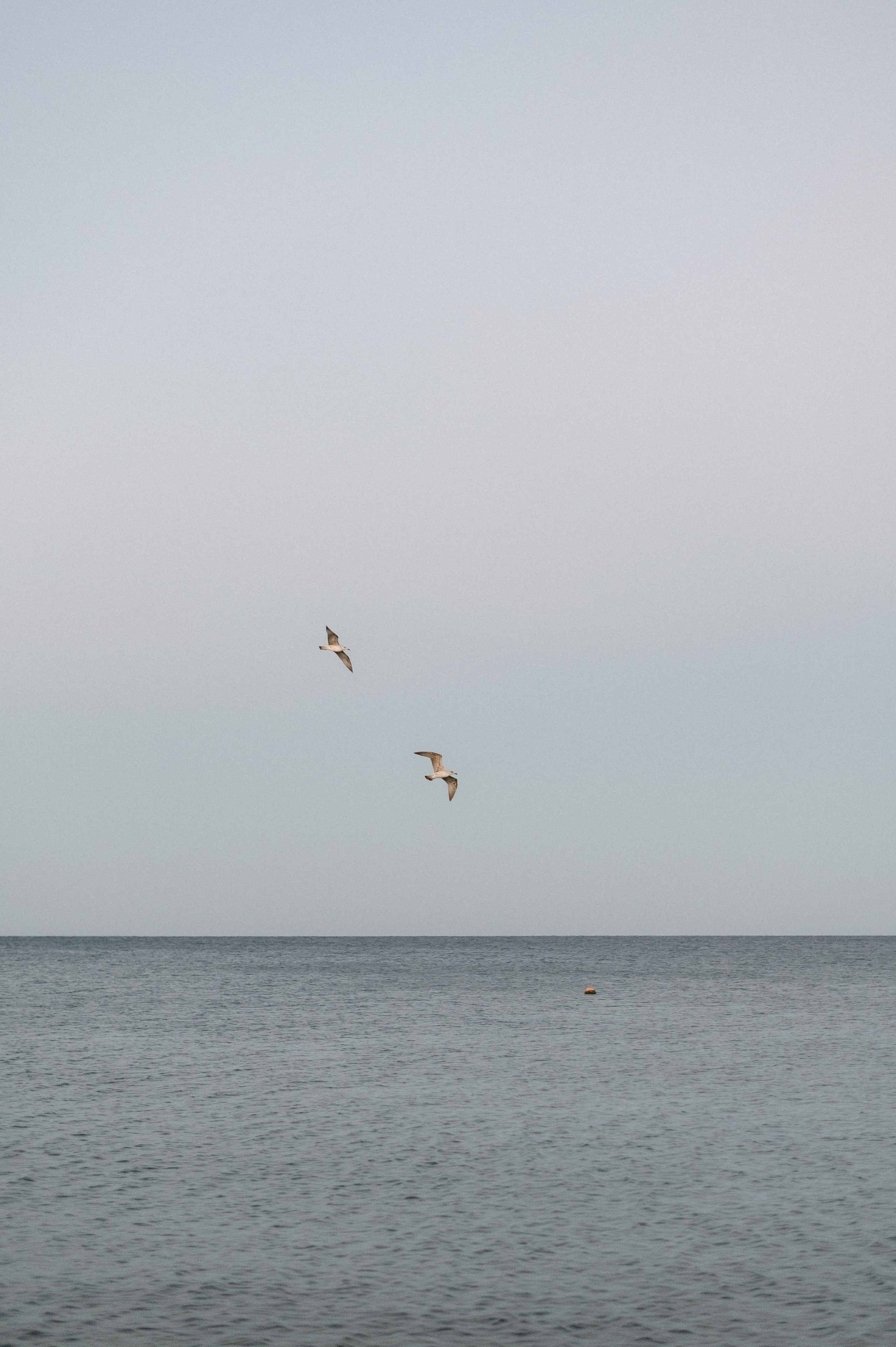 Встреча рассвета на море…. Семейный фотограф в г. Ставрополь, Сорокина Мария