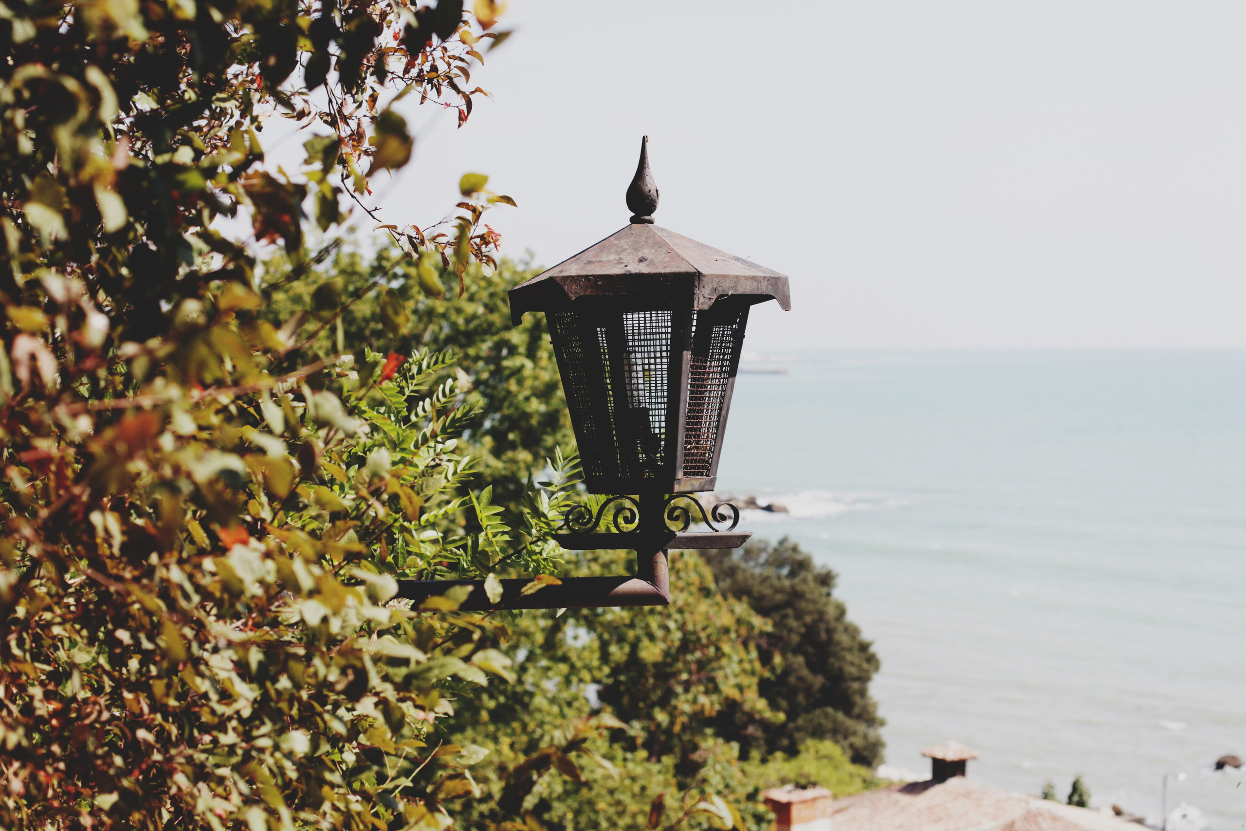 Болгария. Аня Степанова