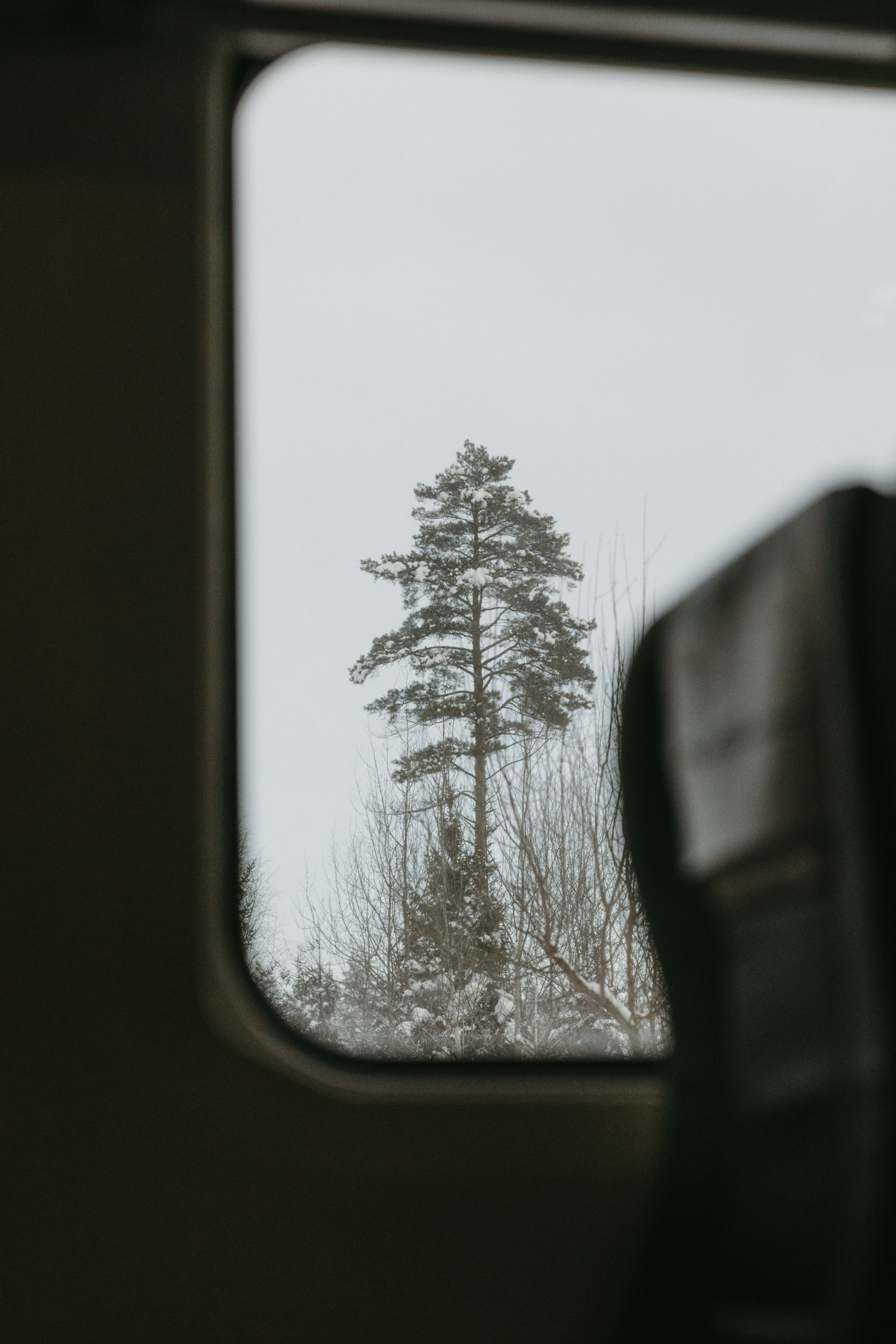 Разное. Фотограф Эльмира Лин