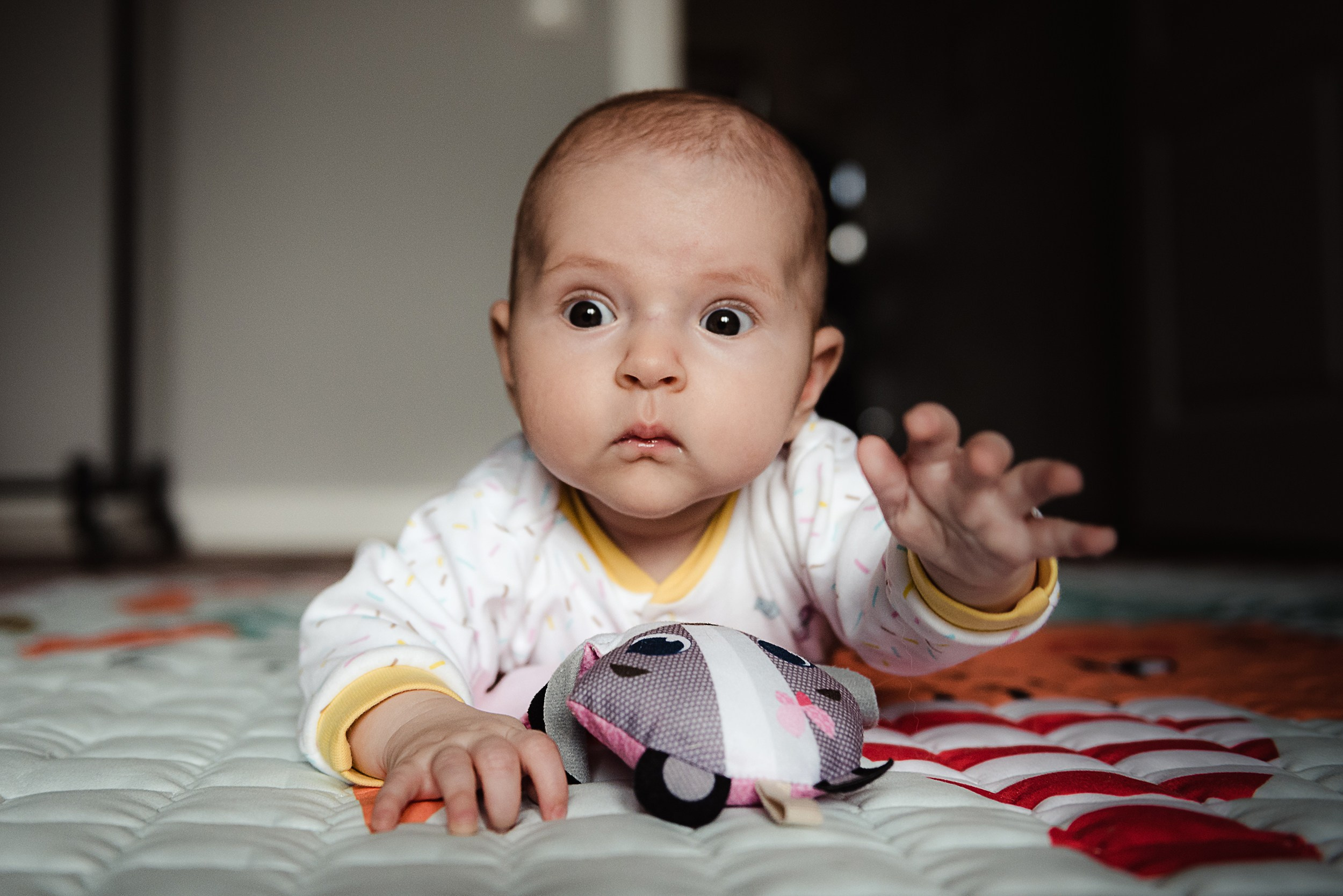 Алена, Виктор, Оливка и Ластик. Семейный Фотограф в Москве Ирина Хохлова