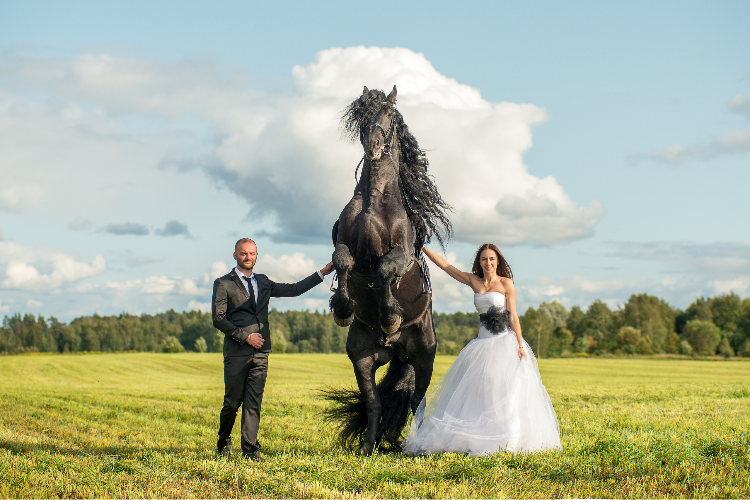 Фотосессии с лошадьми. Фотограф Юлия Милосердова