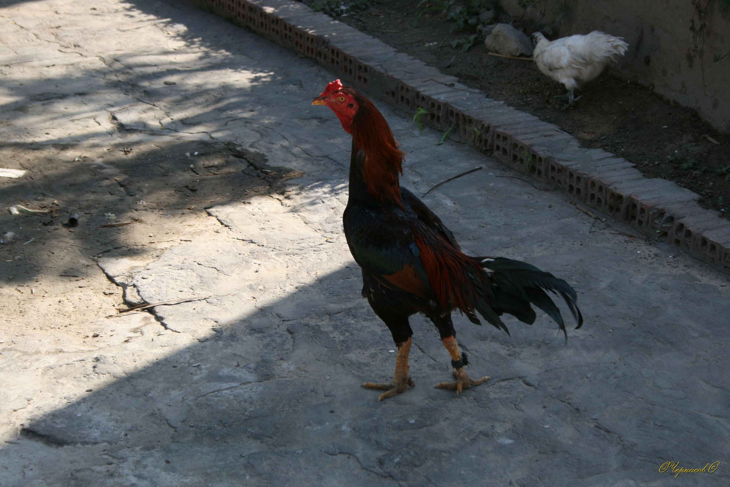 Вьетнам 2008 г. Улица, люди, жизнь…