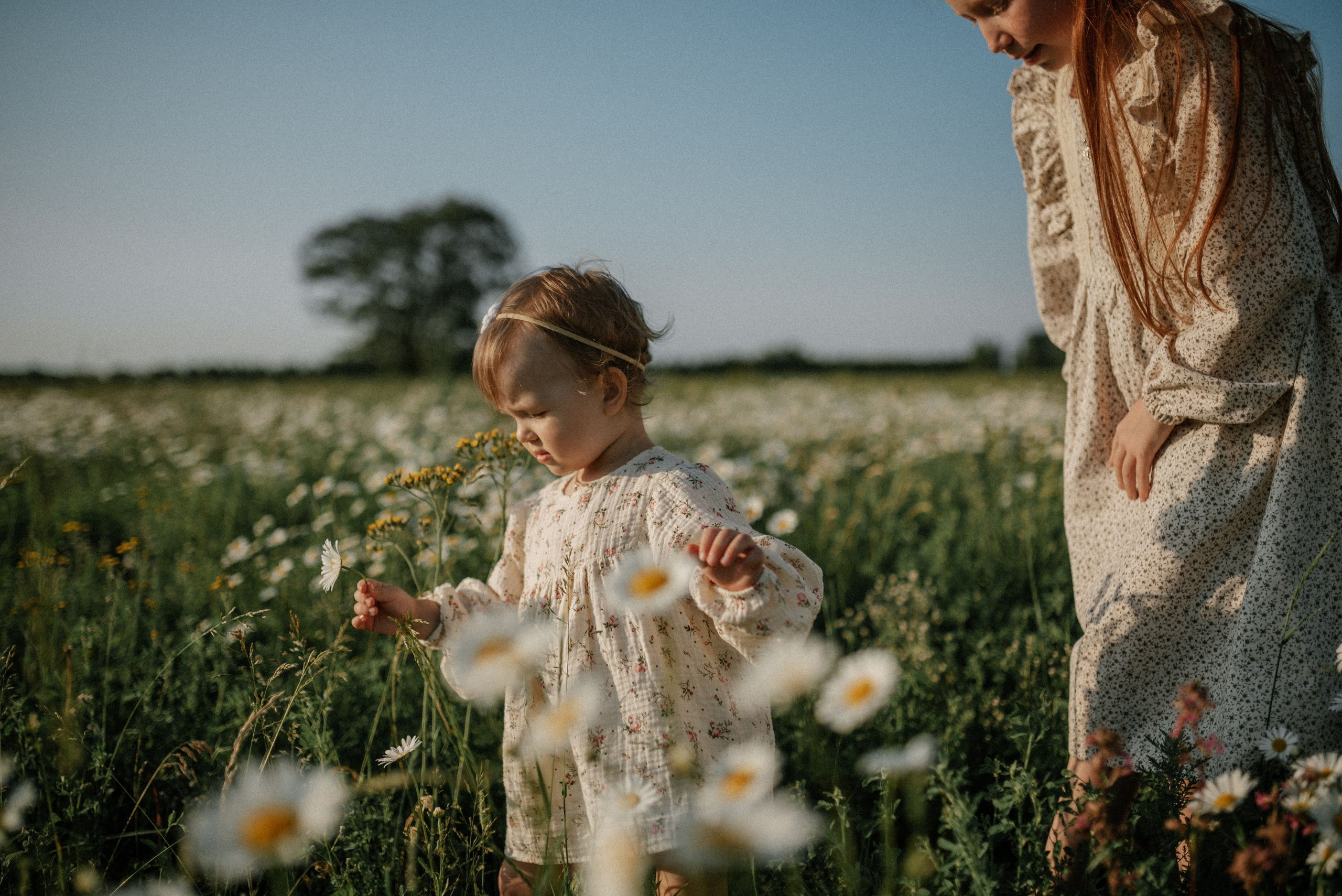 Ида, Мира и ромашки. Свадебный и семейный фотограф Кожевникова Лариса