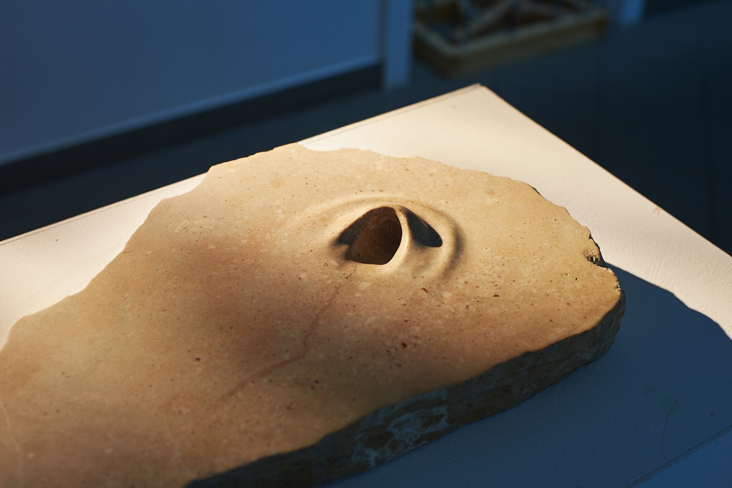 THE ALIENATED BODY. Ilmira Bolotyan — Interdisciplinary Artist and Curator