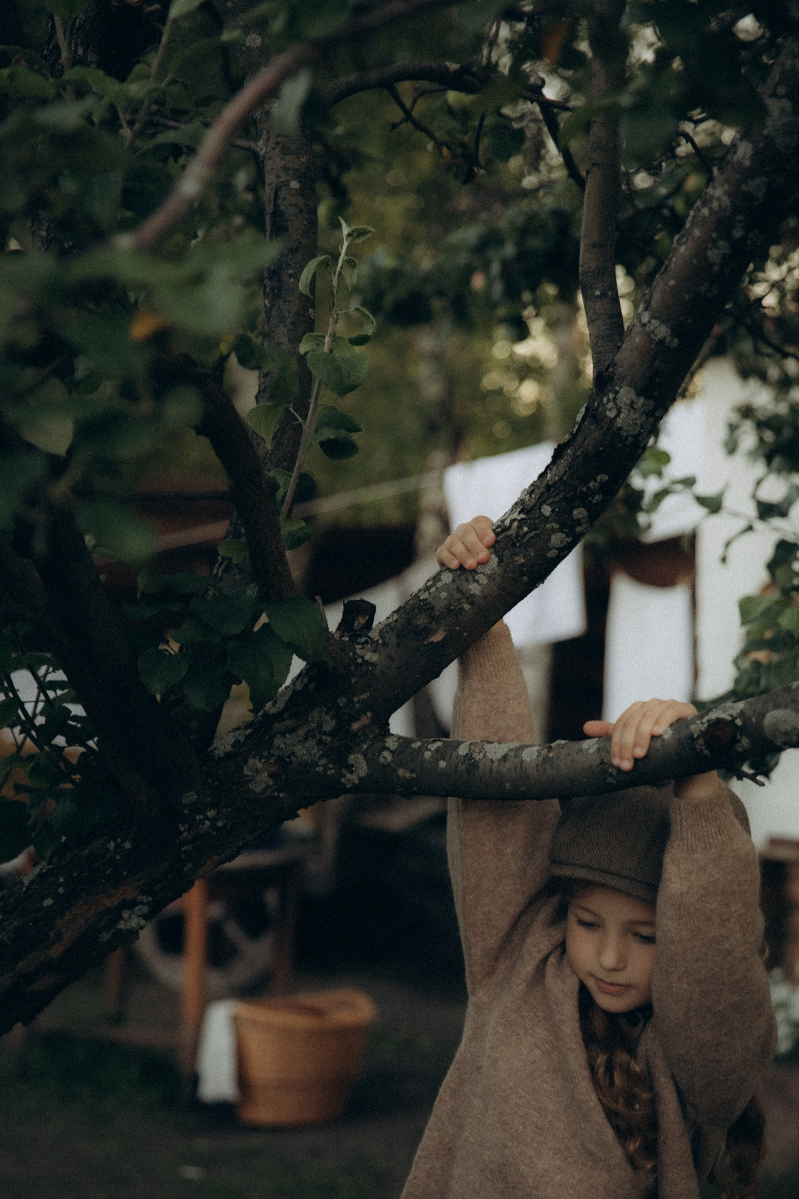 Вечер в саду. Фотограф  Челябинск Варвара Шарапова