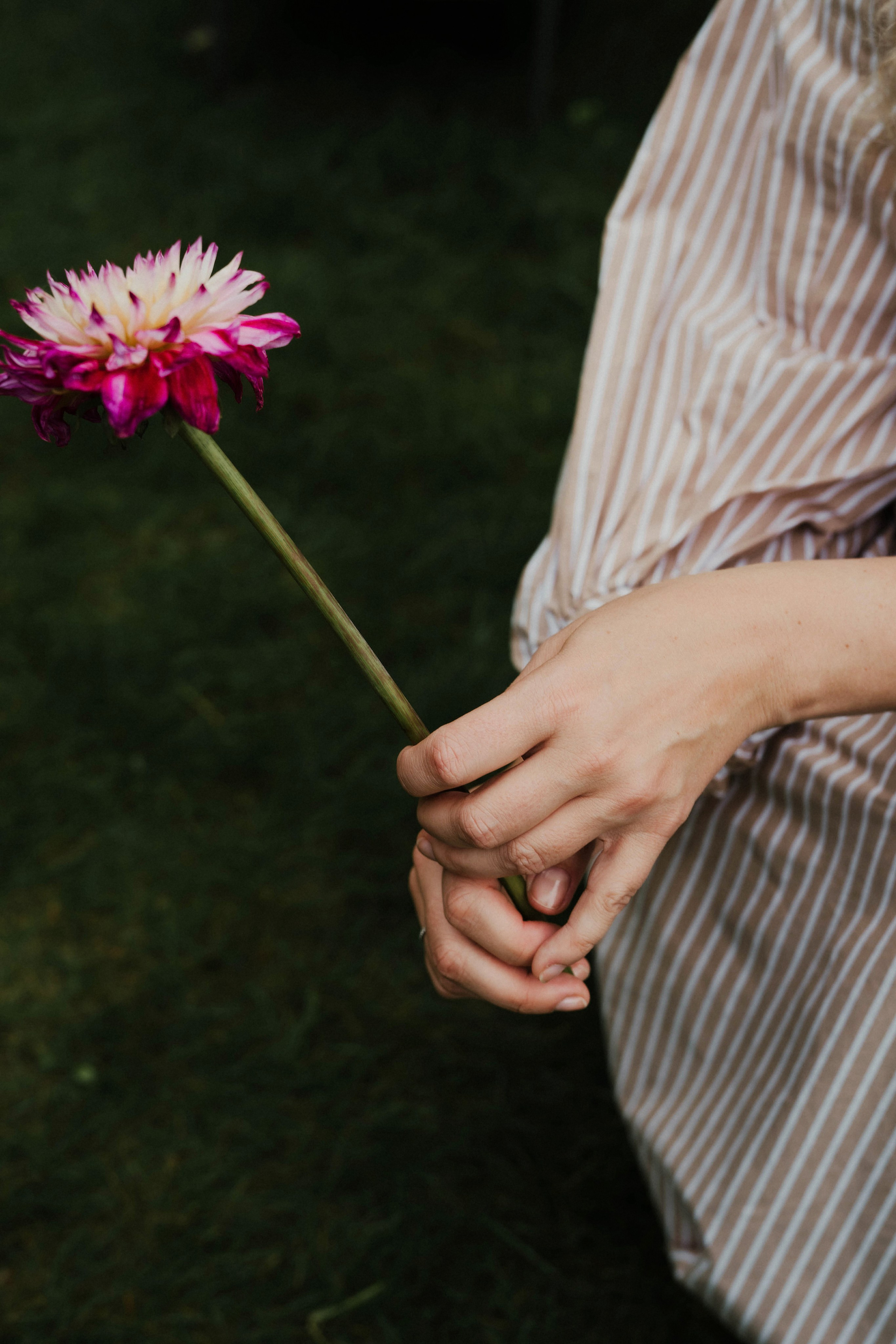 Семейные истории. ФОТОГРАФ КСЕНИЯ СОСНОВСКАЯ