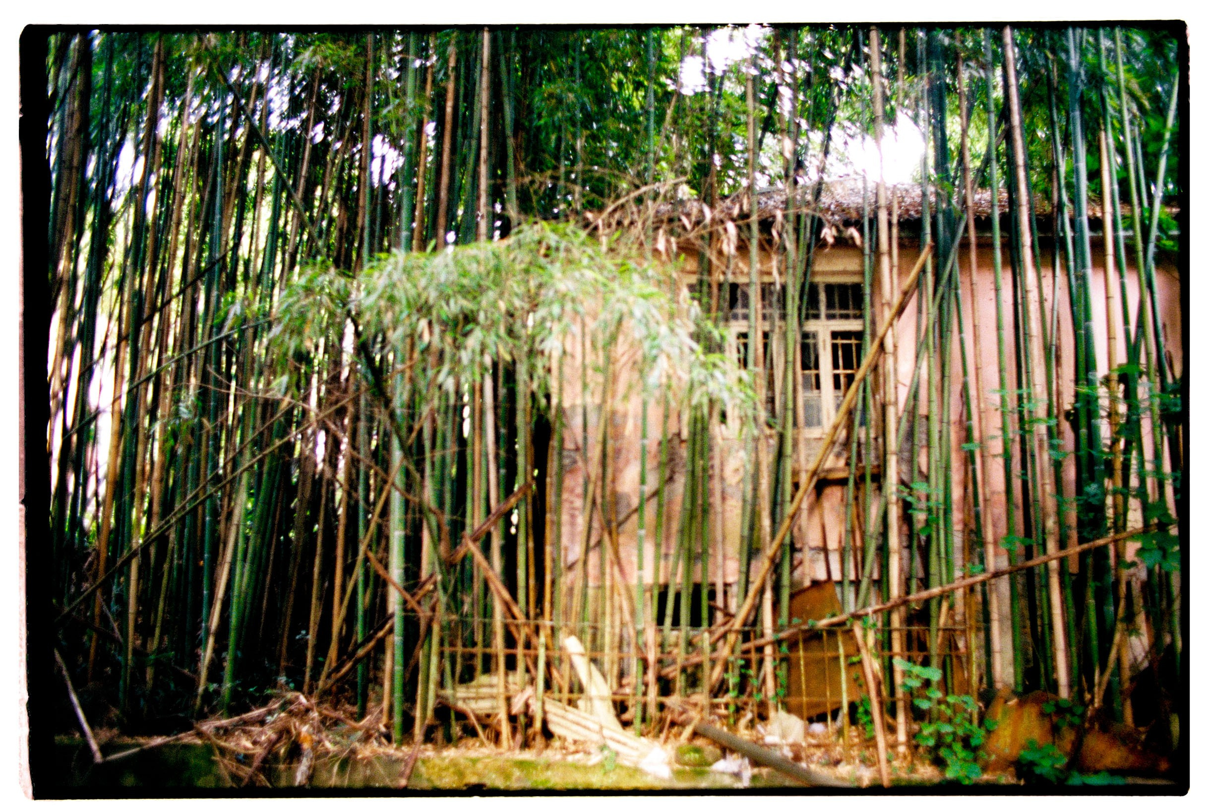 Abkhazia-2023. Никита Демидов. Nikita Demidov