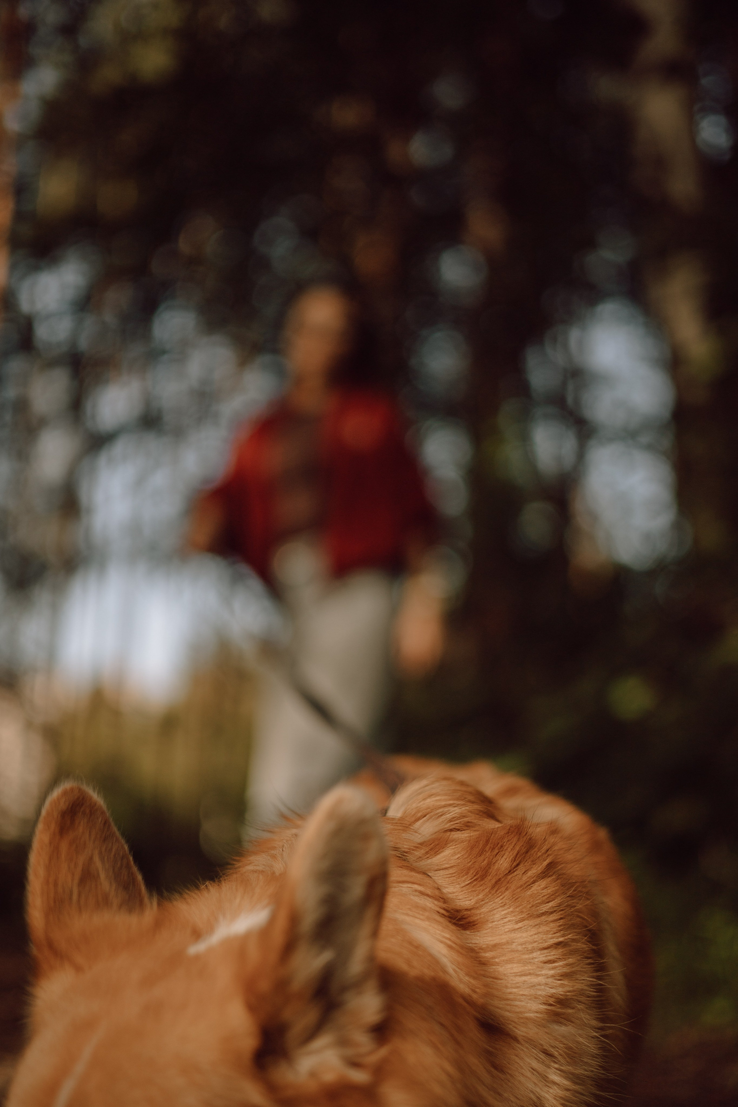Йосик и его Мари. Фотограф — анималист •love-story•|Санкт-Петербург