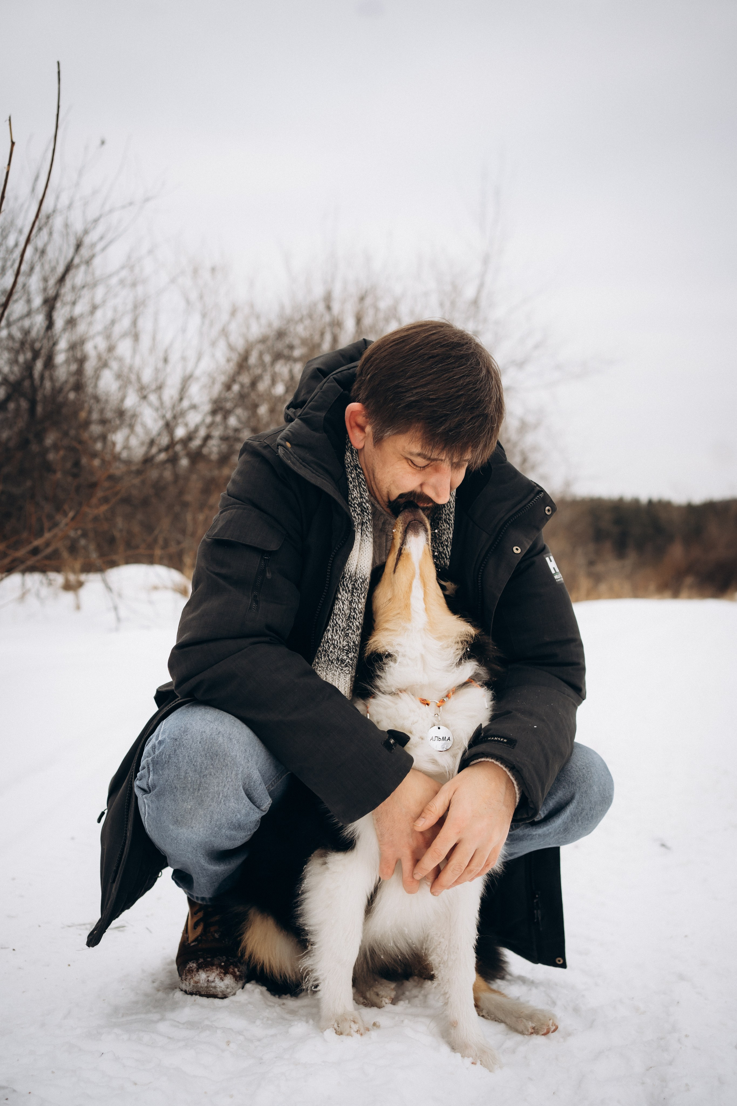 Альма. Фотограф-анималист Анастасия Большакова