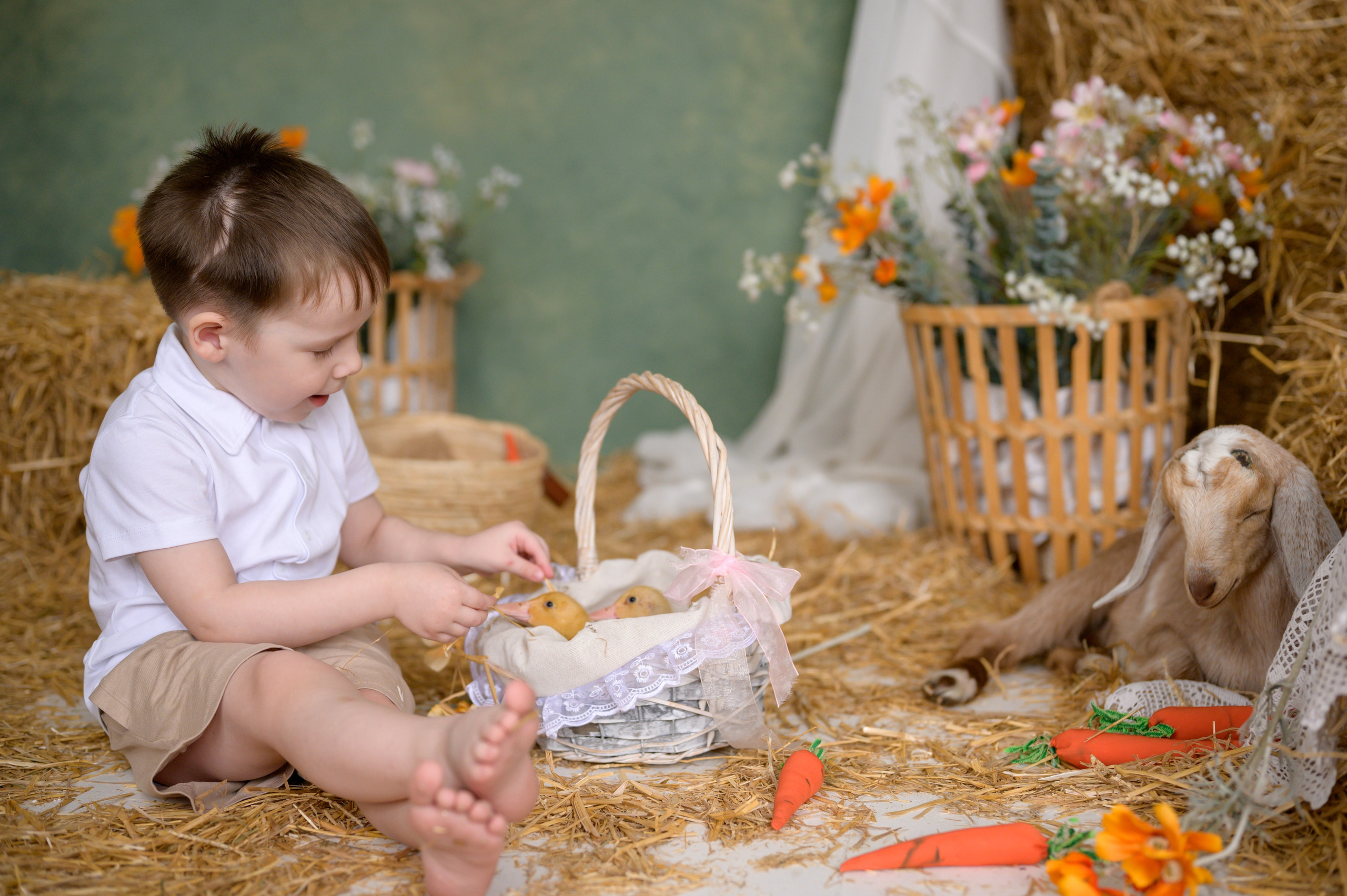 Фотостудия «Рояль» зал «Графика». Фотограф новорожденных, семейный детский в Тюмени Татьяна Морозова