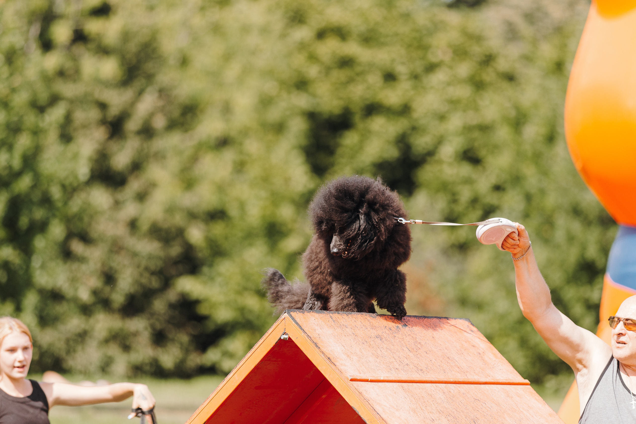 Petshop Sup day. Фотограф анималист Кристина Карпова, Москва