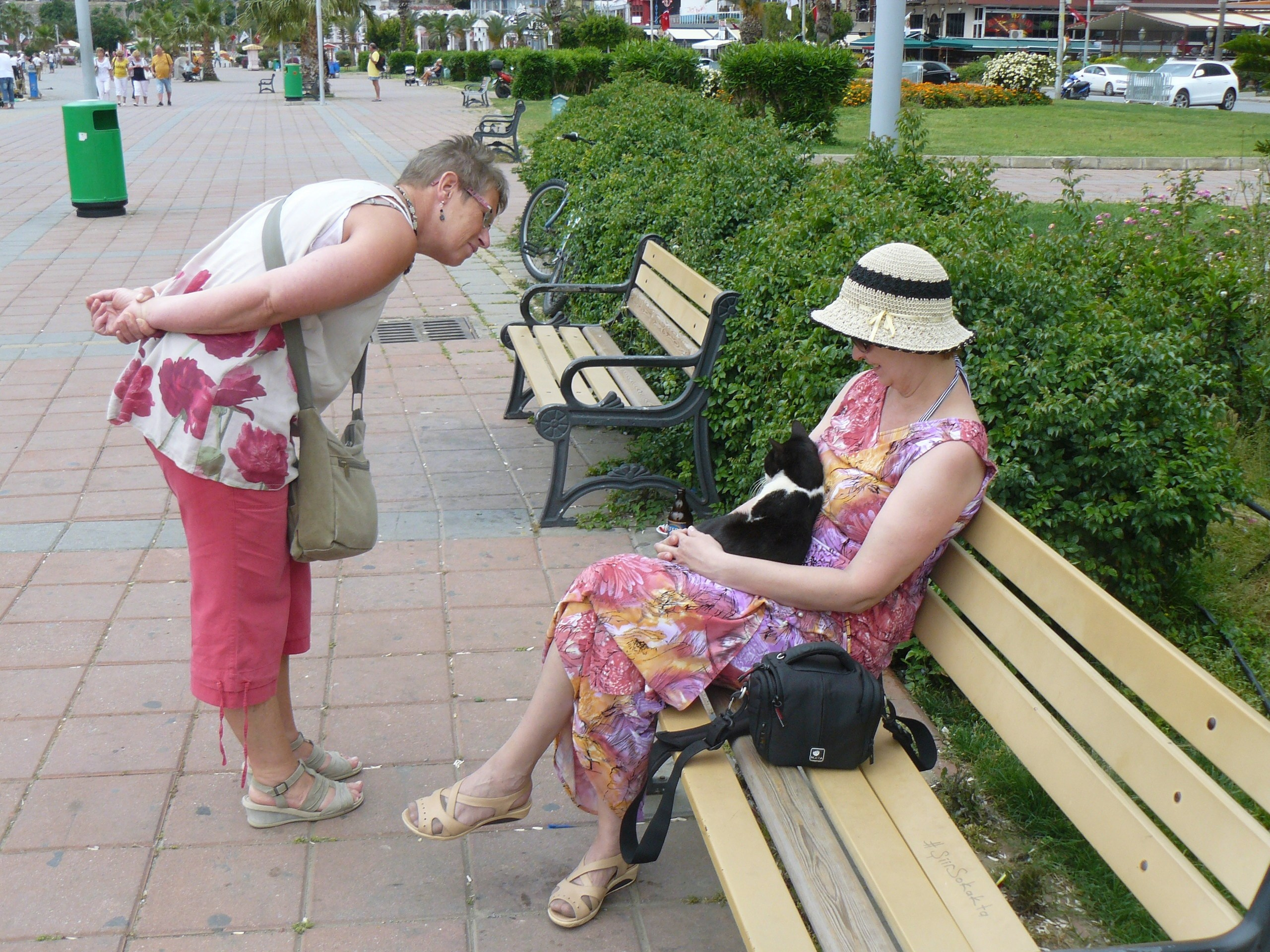 Алания 2014. Фотопрогулки по Миру