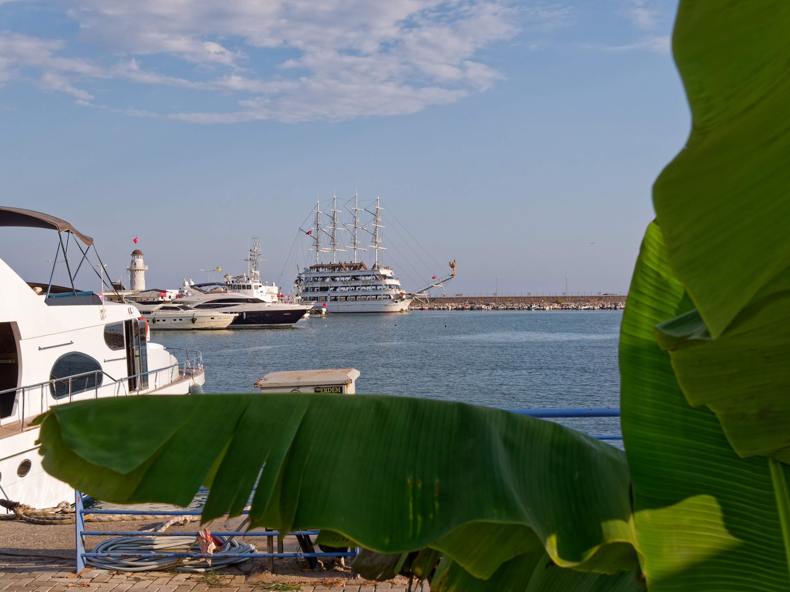 Алания 2025, порт и парк. Избранные фотографии