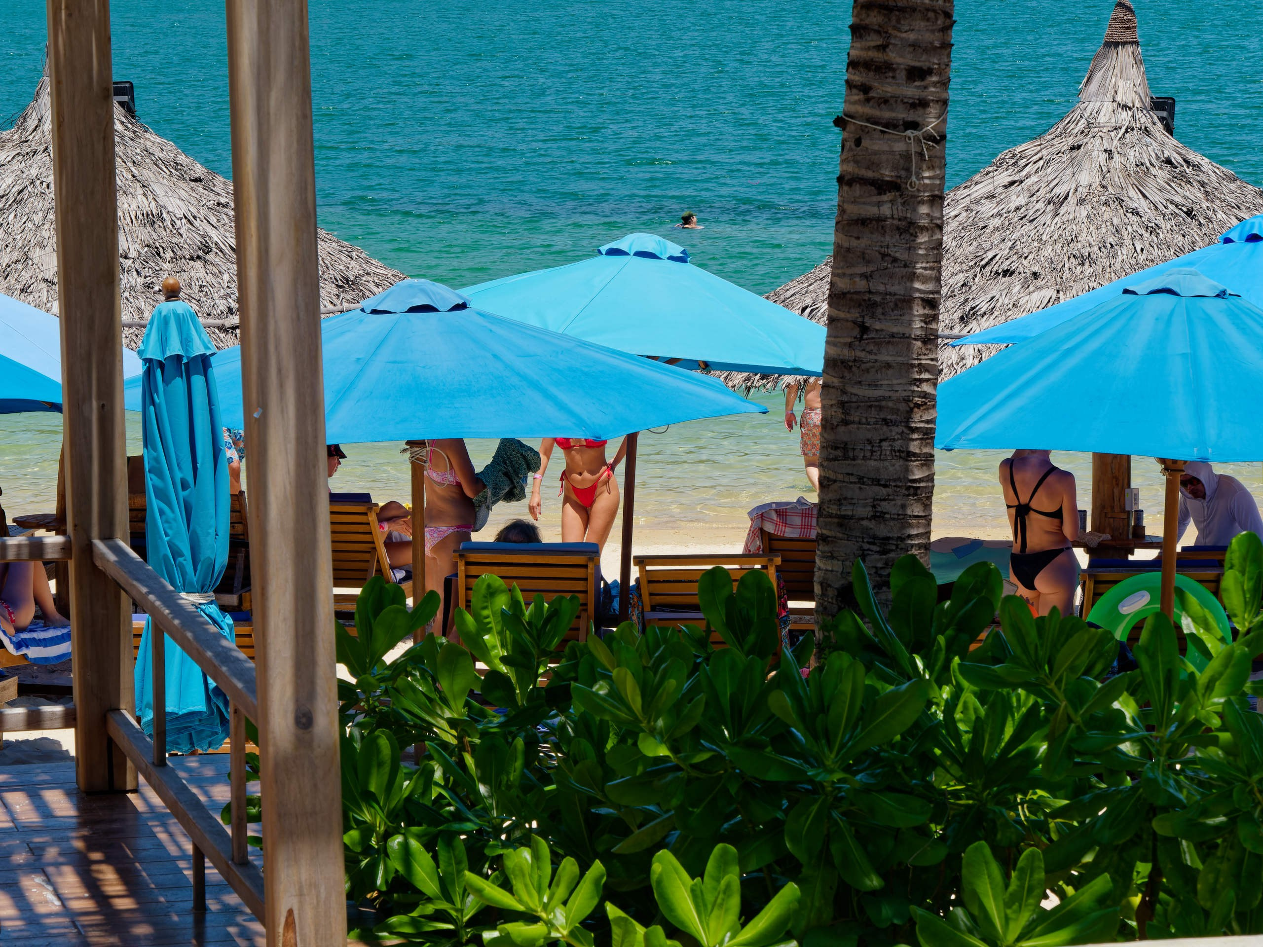 Нячанг 2025 (3). Избранные фотографии