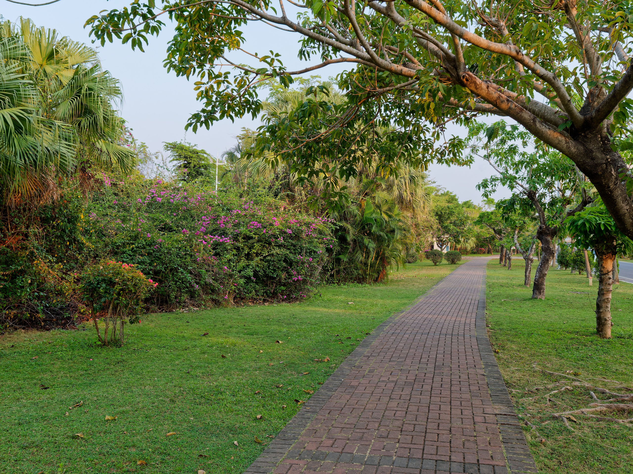 Хайнань 2026, улицы Ялунвань и Саньи. Фотопрогулки по Миру