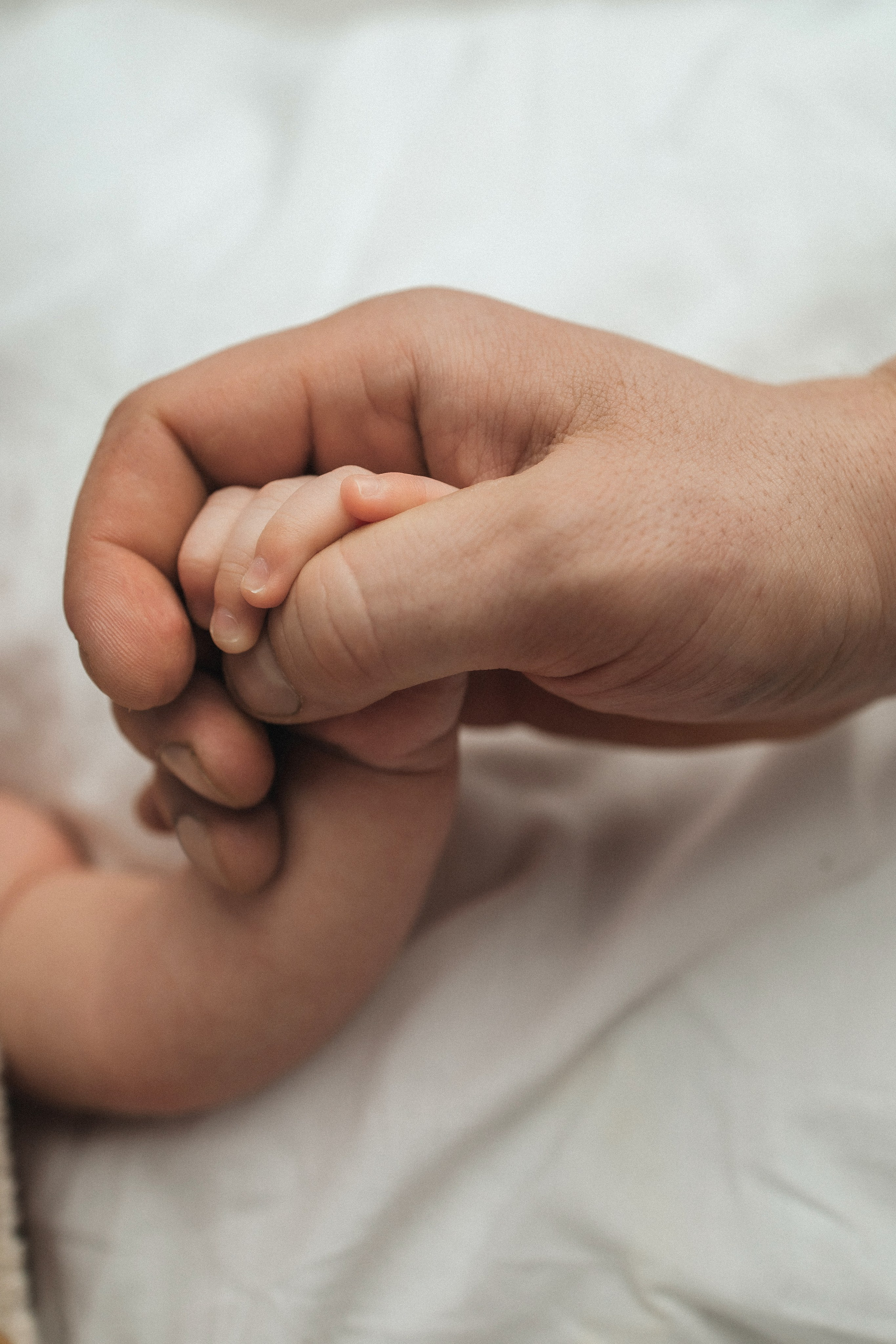 ПАКЕТ «Simple». Главная