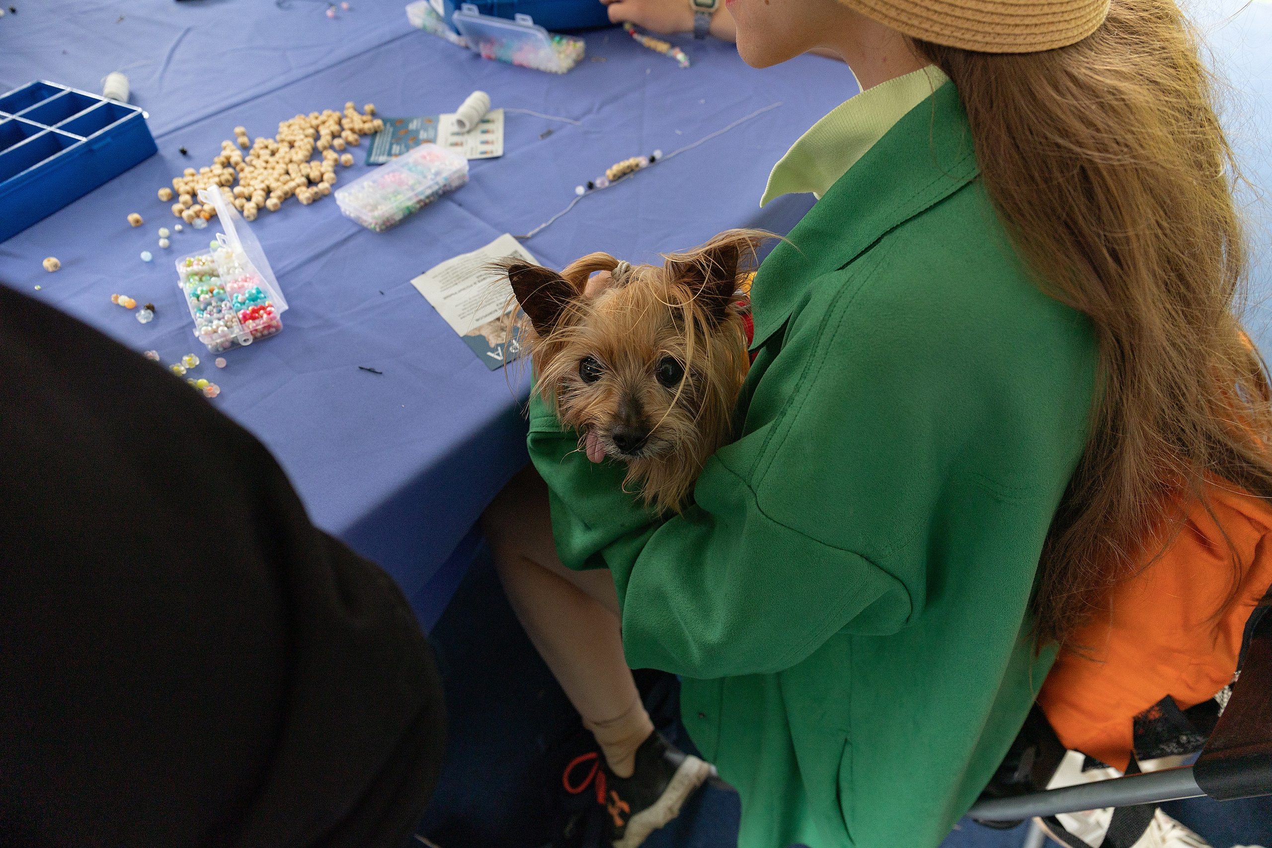 Petshop Days 2026. Репортажный фотограф