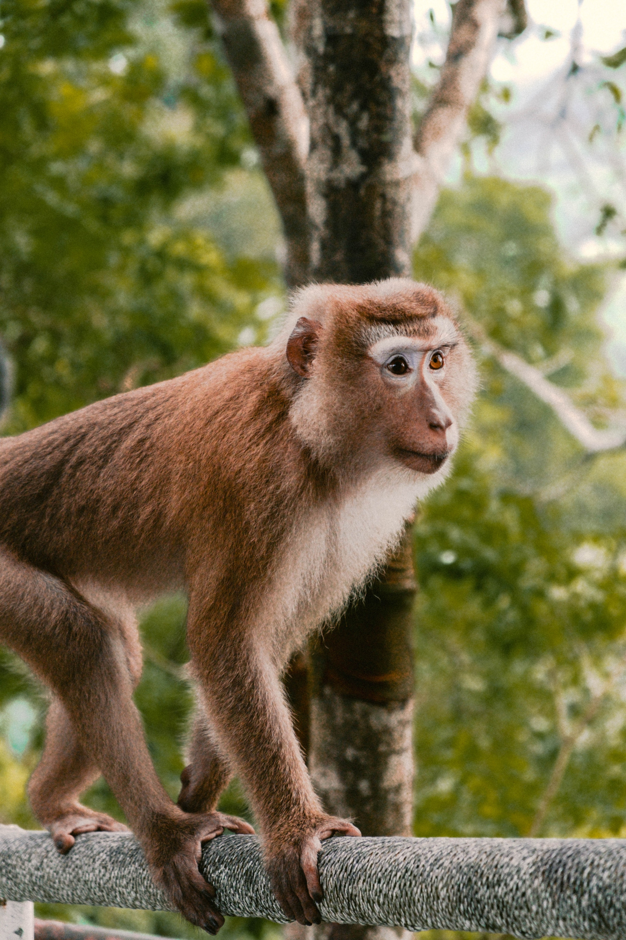 Путешествия. Контент-фотограф и видеограф в Перми