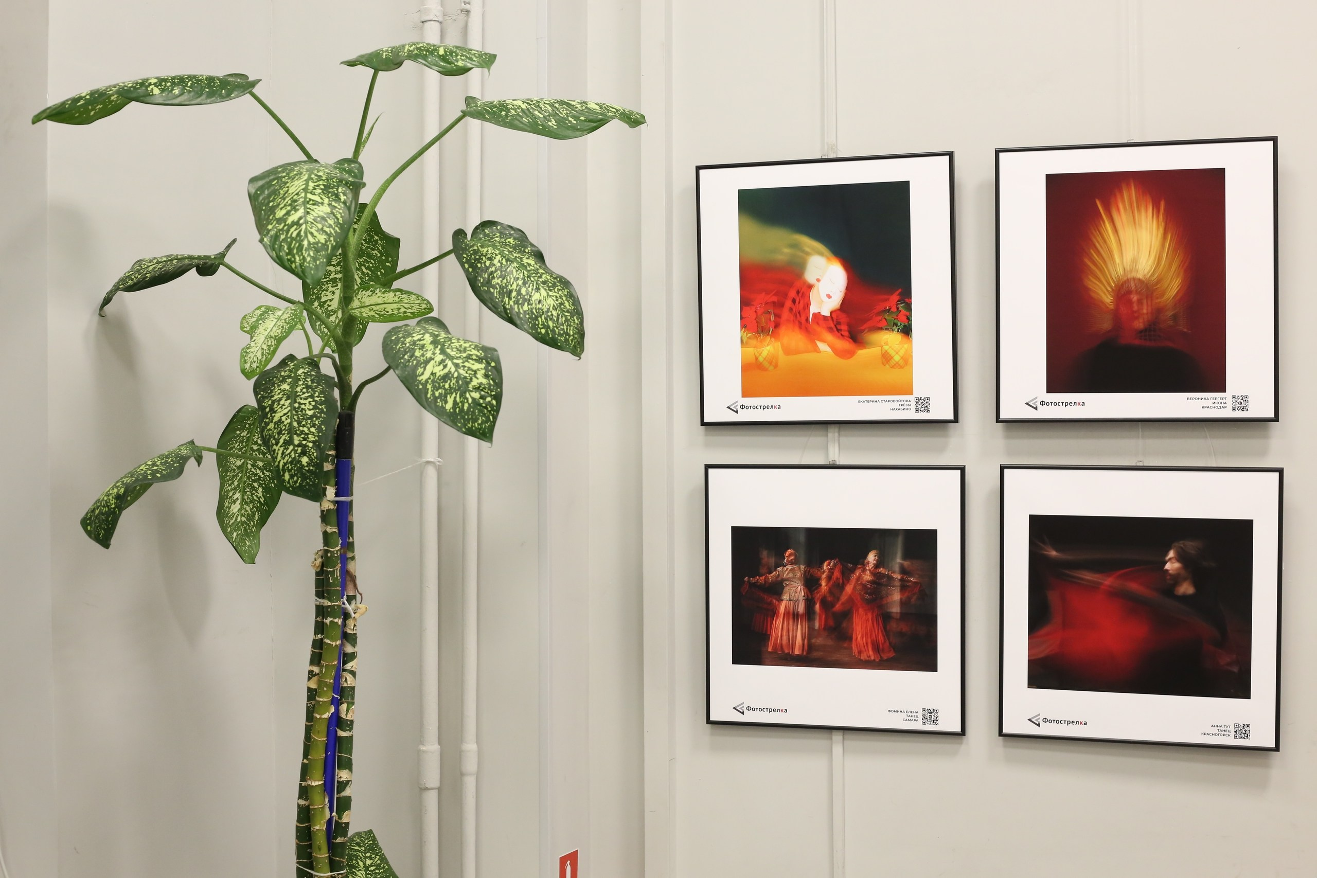 Красная в Москве 14.10.25 — 21.11.25. Фотострелка