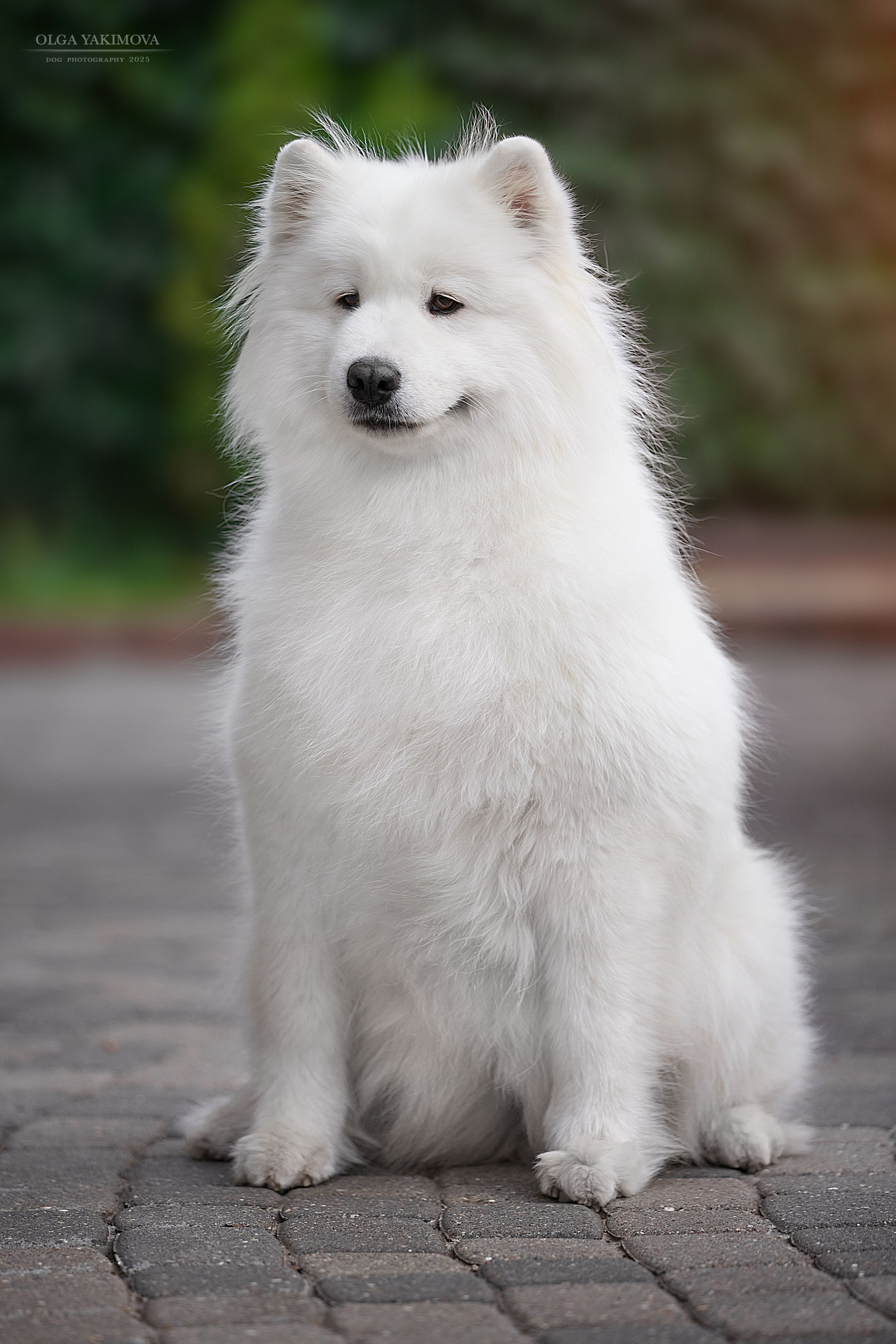 Экстерьер. Фотограф