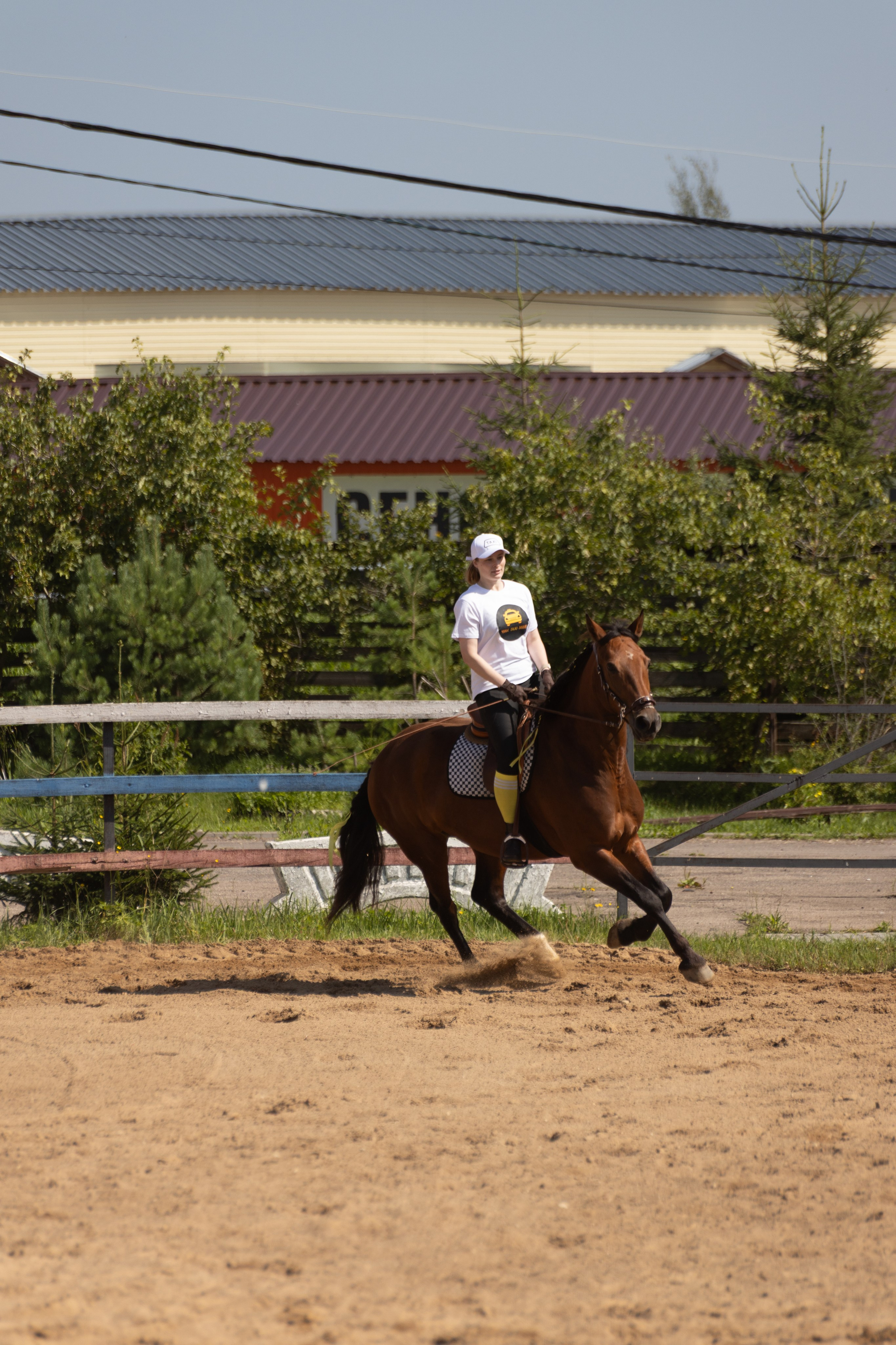 Конюшня. Фотограф в Москве и Истре