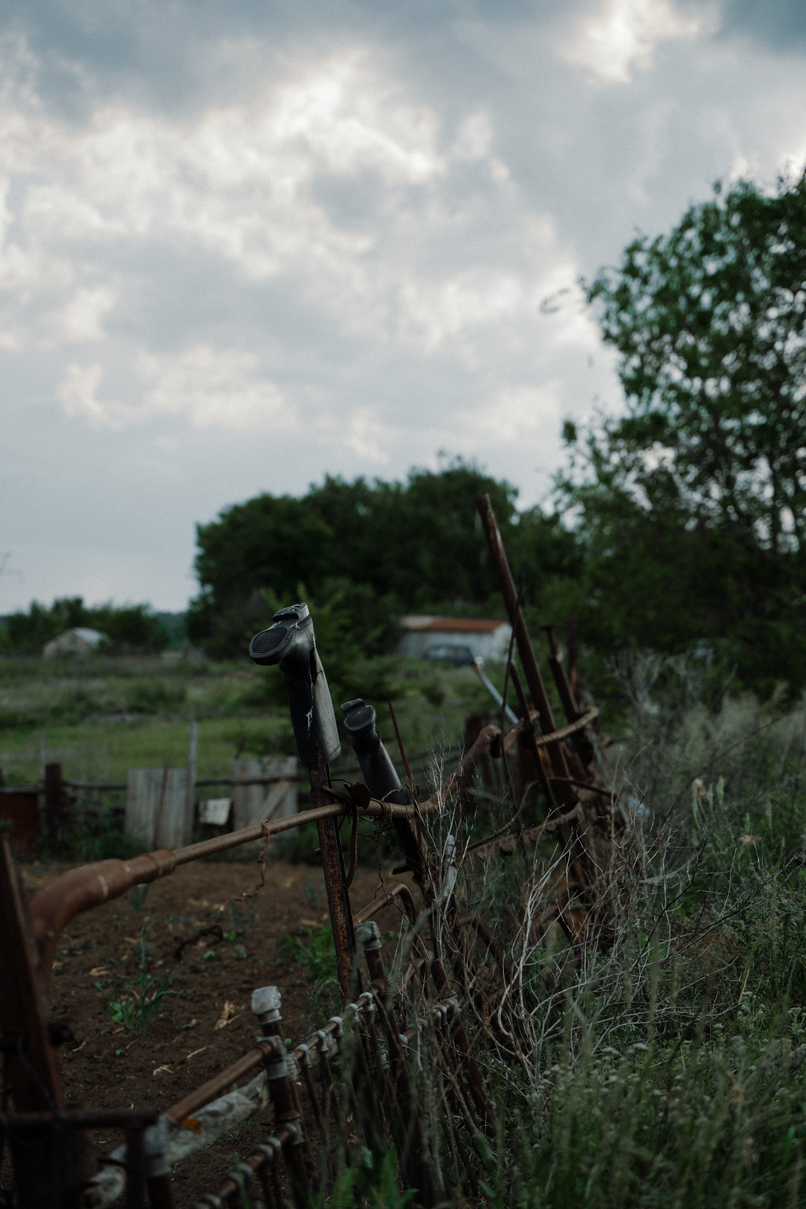 НСК. Фотограф Санкт-Петербург