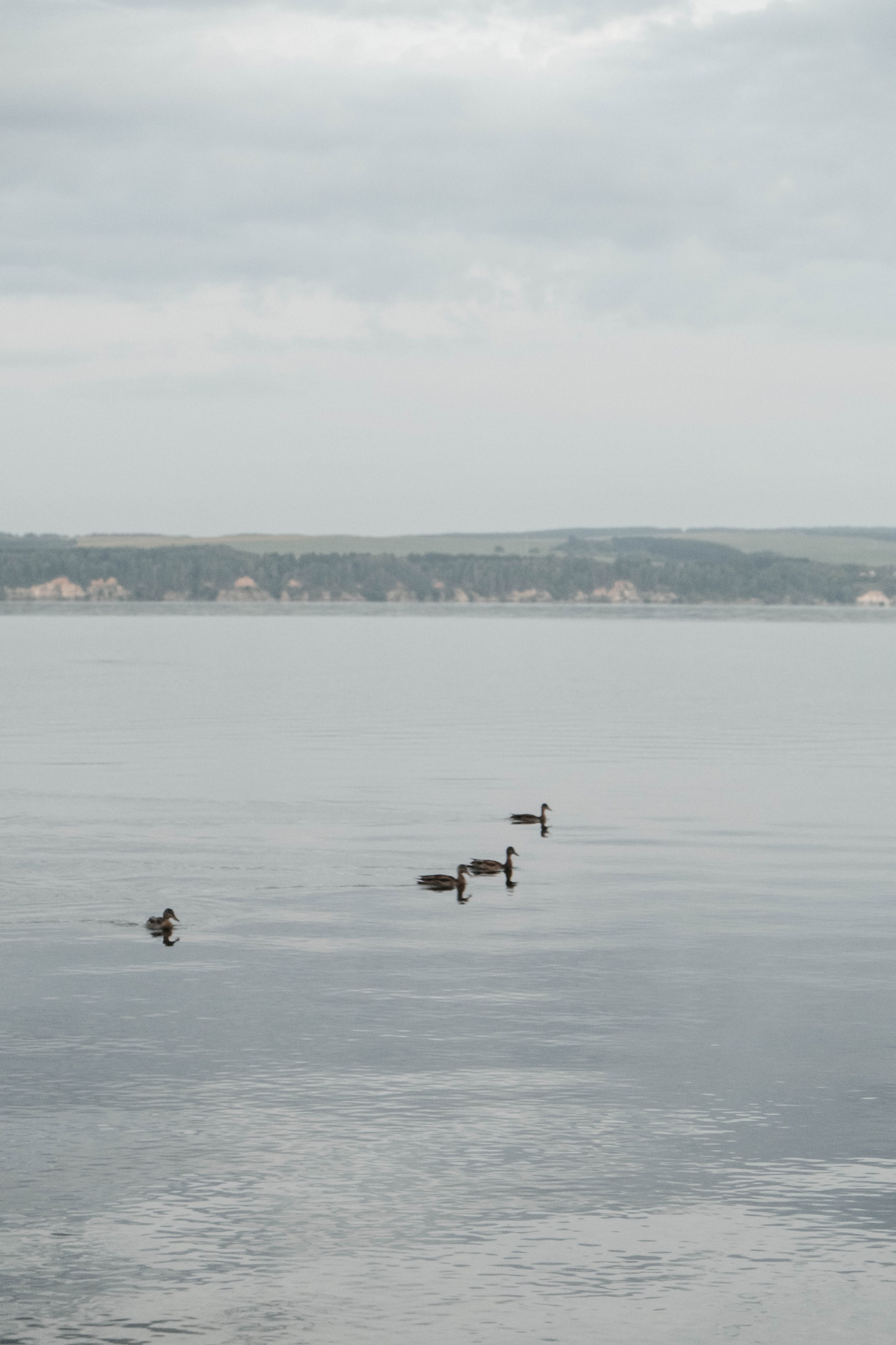 Динара. Свадебный и портретный фотограф Казань | Белебей