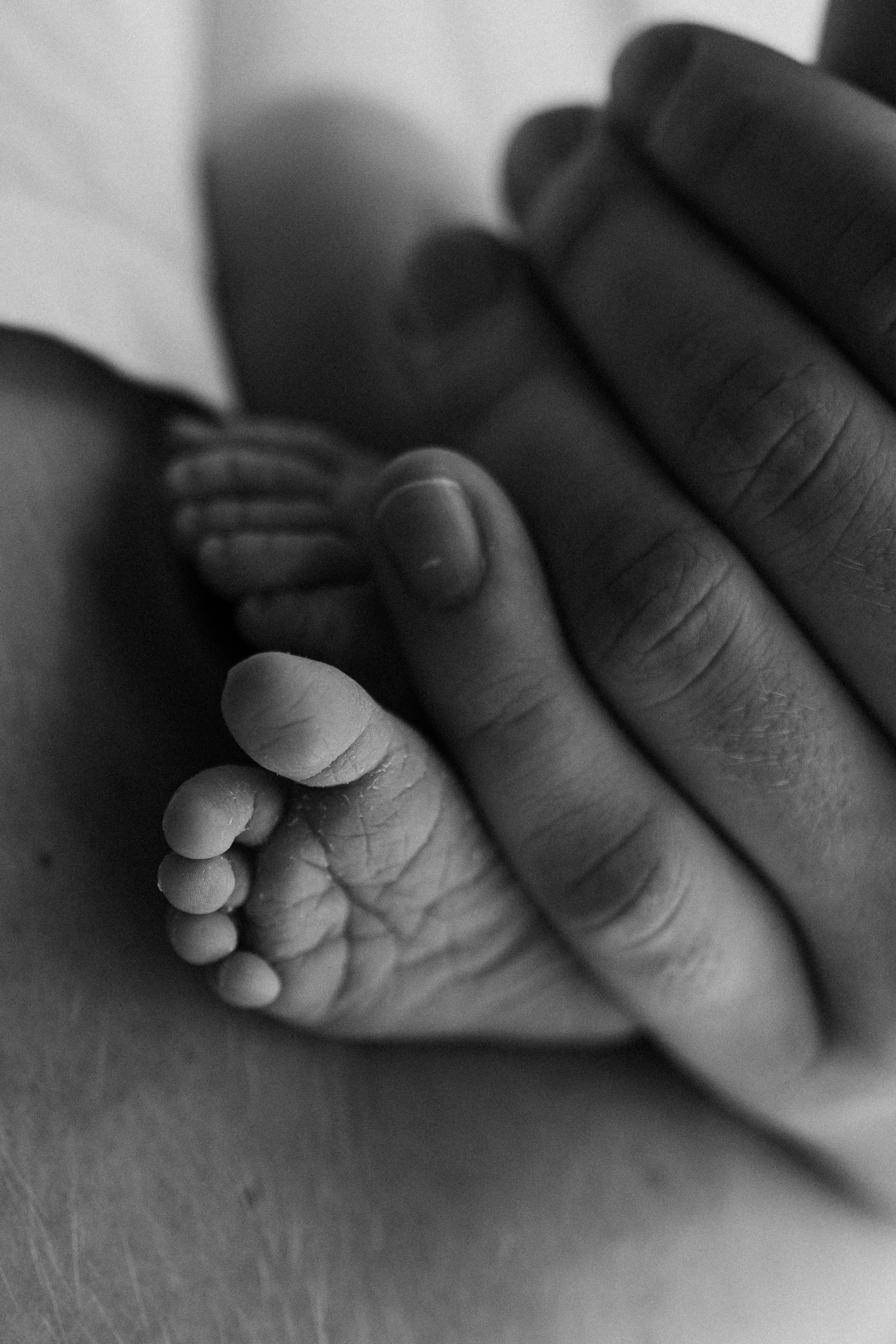 Элина, Рома, Майя. Семейный фотограф Москва