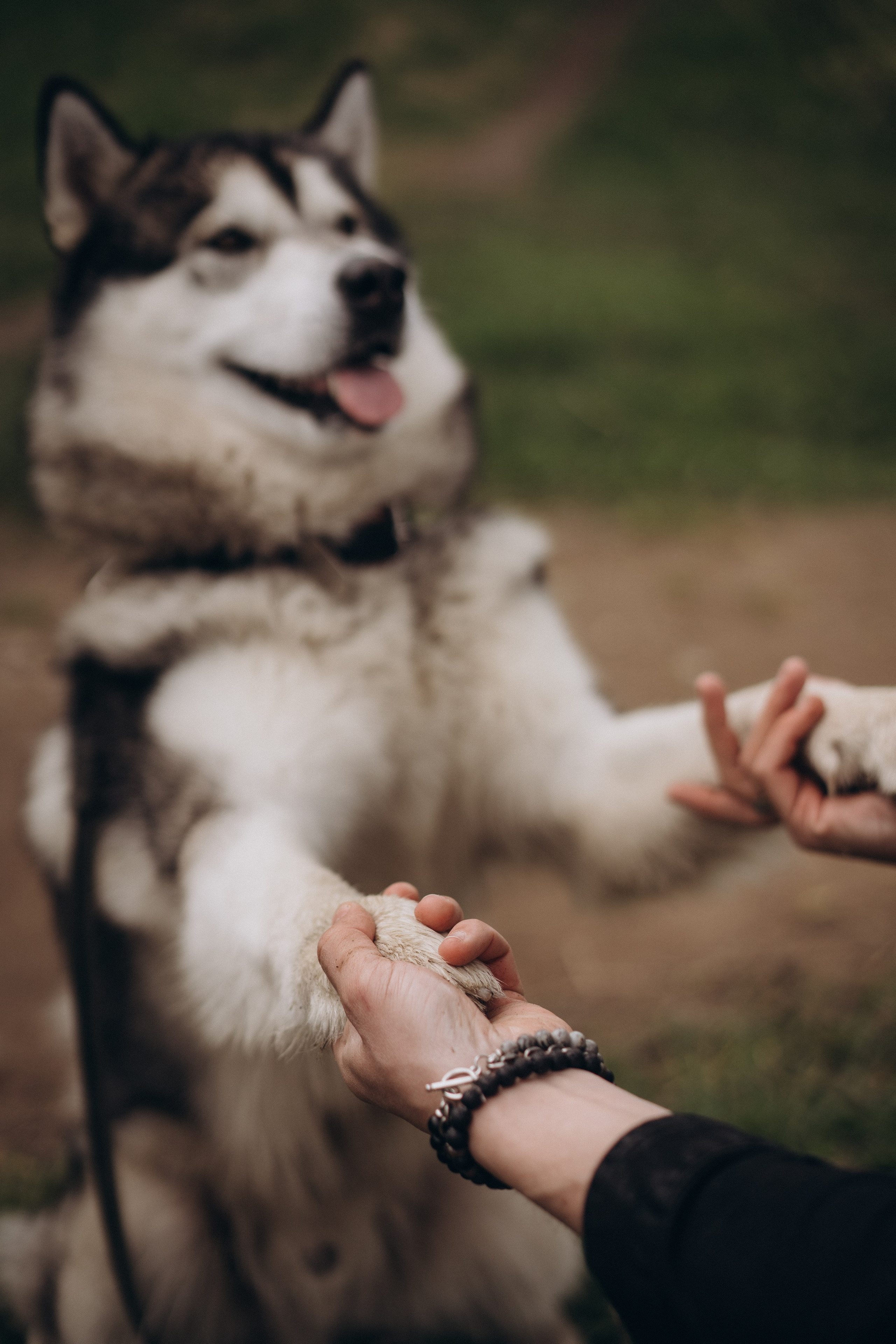Света и Лёня. Дмитриева Светлана женский и семейный фотограф Рига, Москва, Геленджик