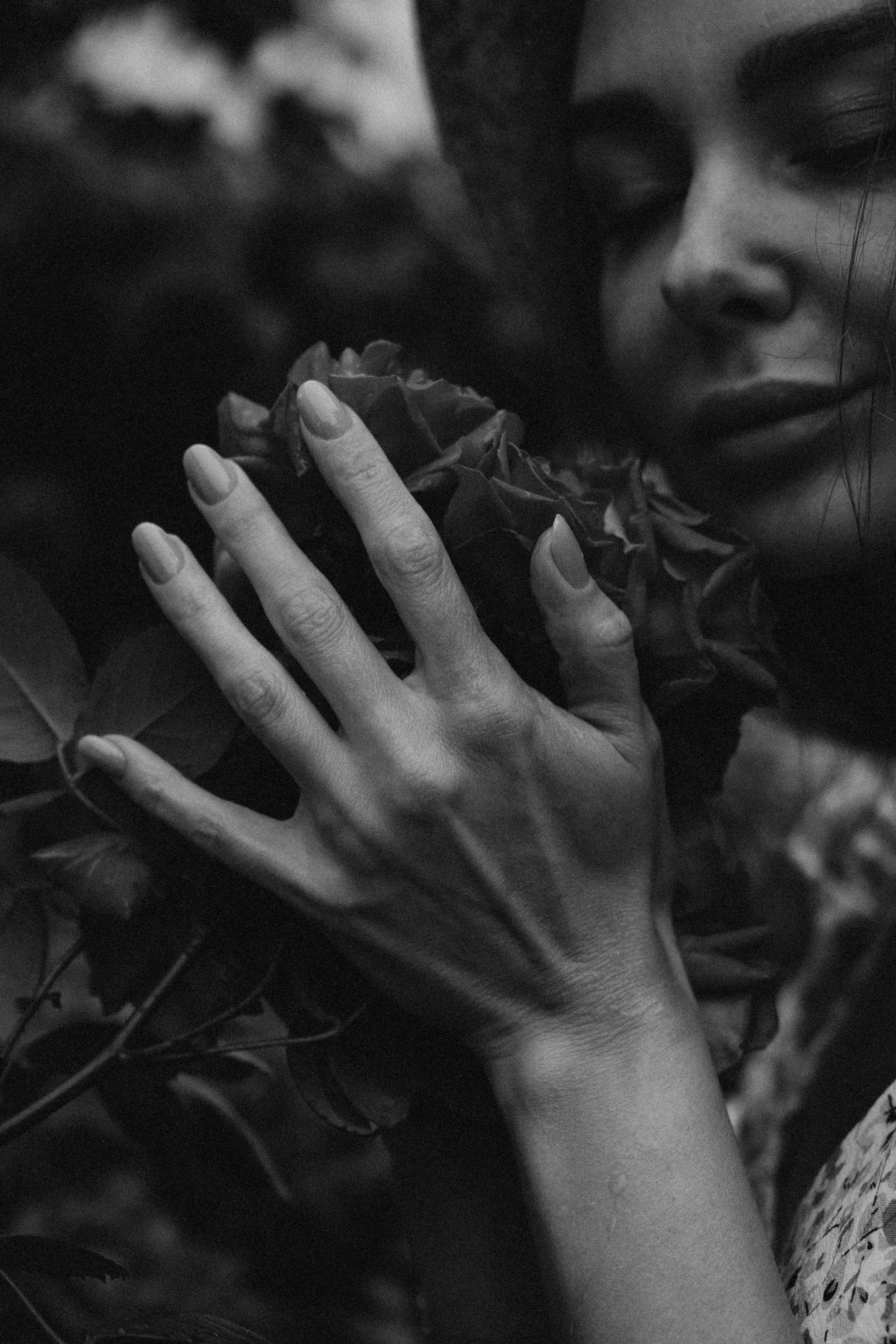 Лена розы. Дмитриева Светлана женский и семейный фотограф Рига, Москва, Геленджик