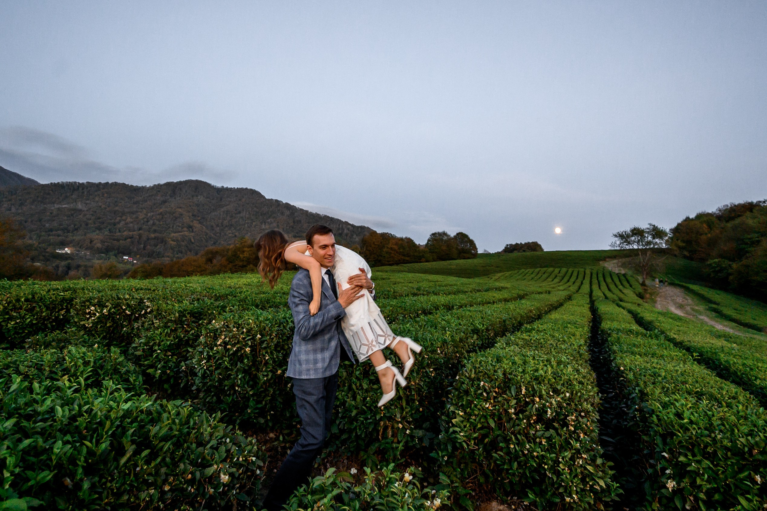 Чайные плантации. Олег и Светлана. Свадебный и семейный фотограф София Невская
