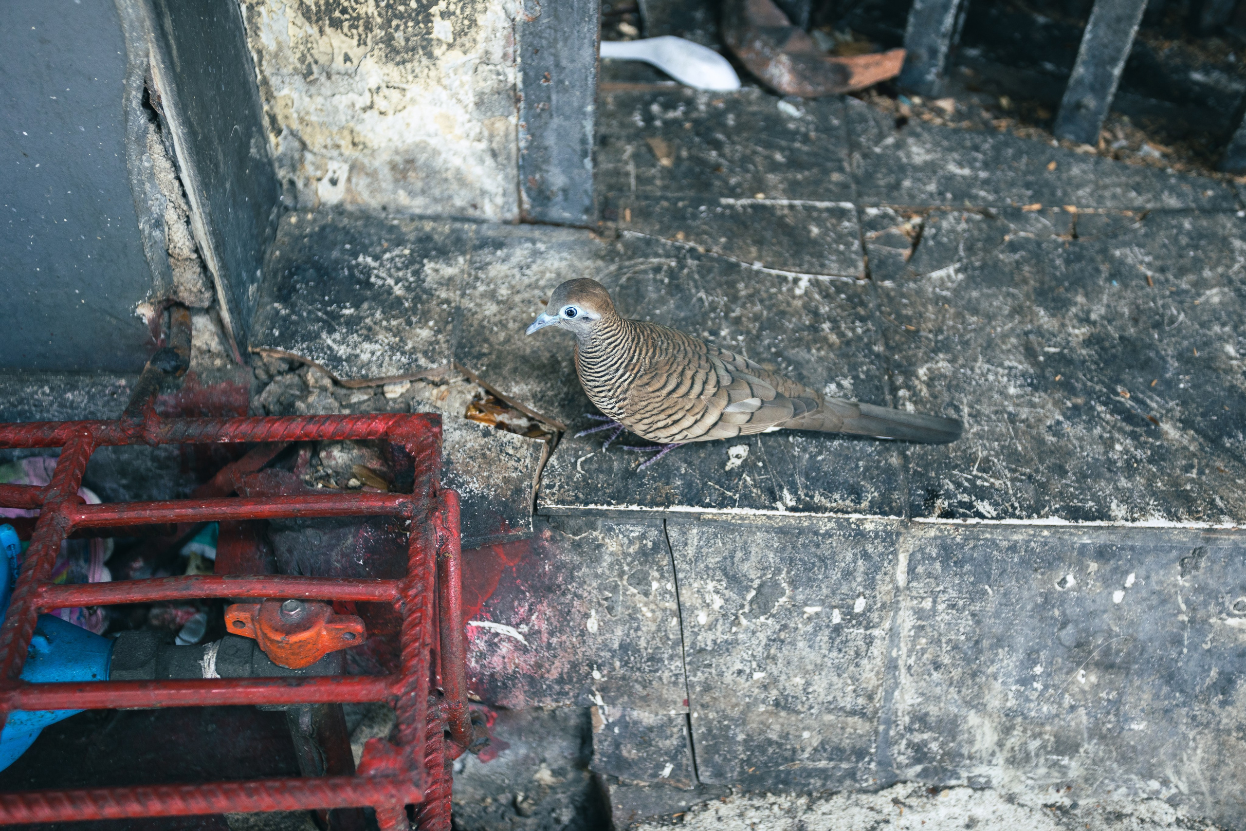 Bangkok. Фотограф Сонкина Татьяна