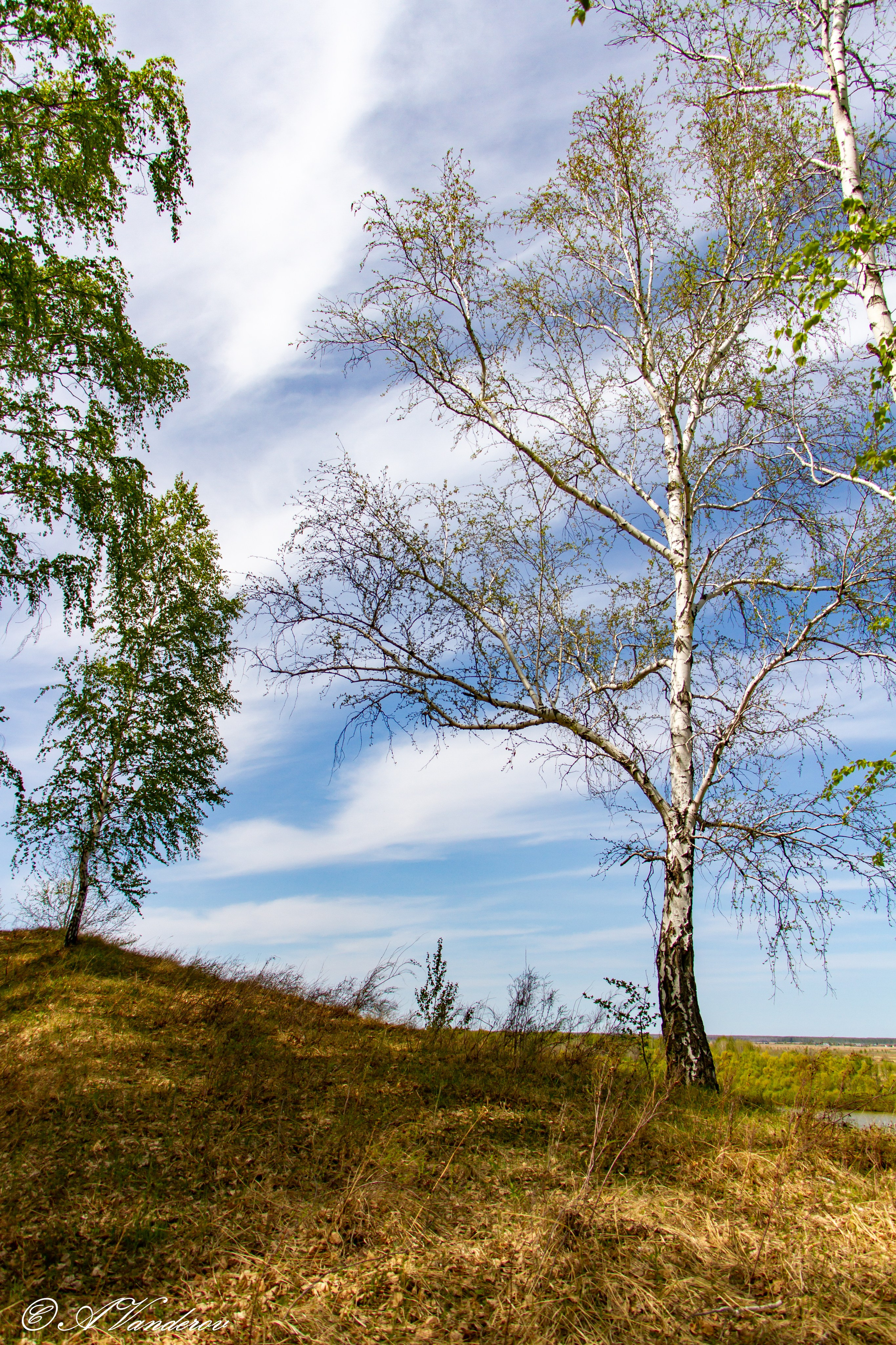 Красота природы. Фотограф Омск | Александр Вандеров