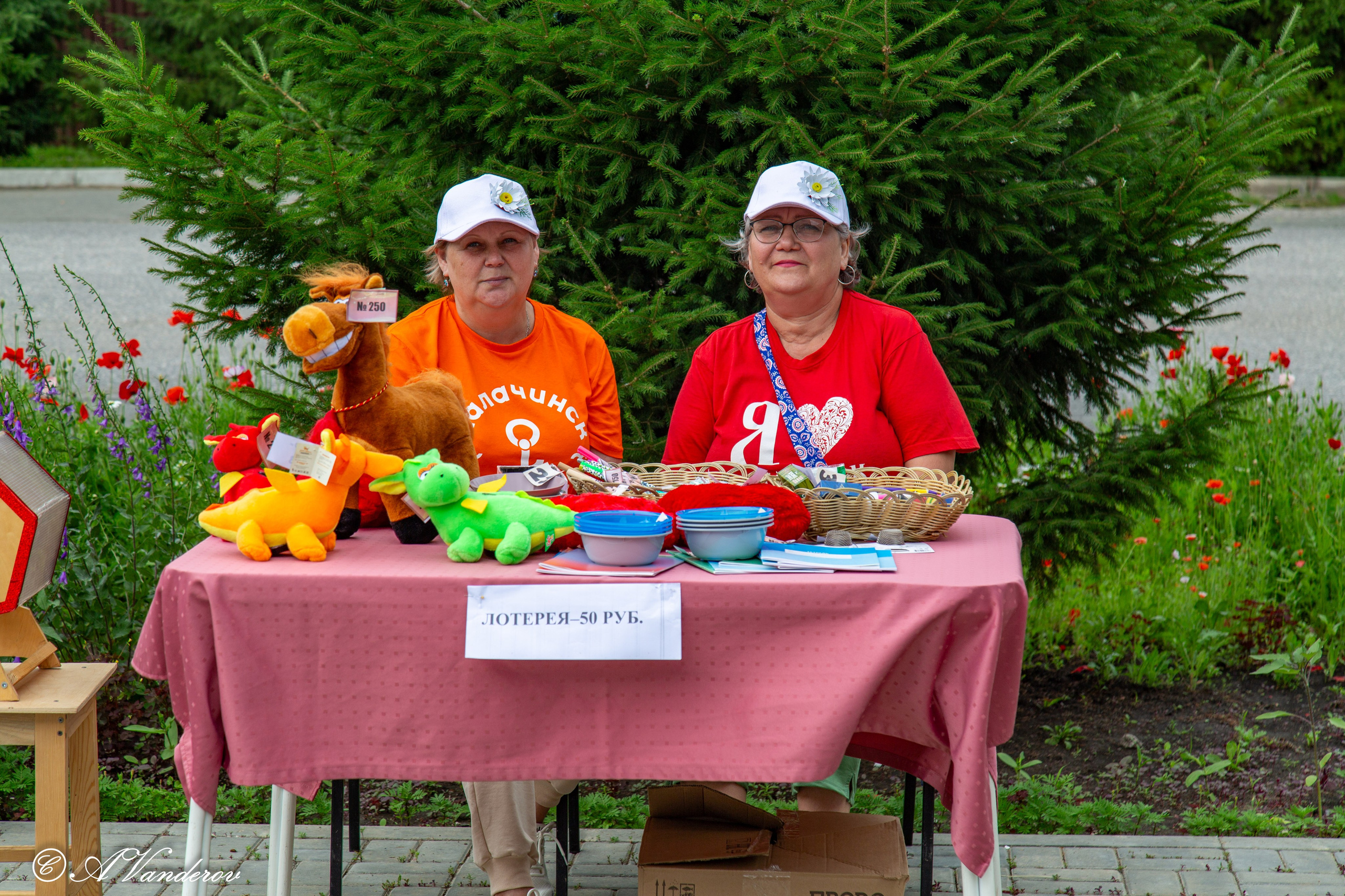 Калачинск 07.07.2024. Фотограф Омск | Александр Вандеров