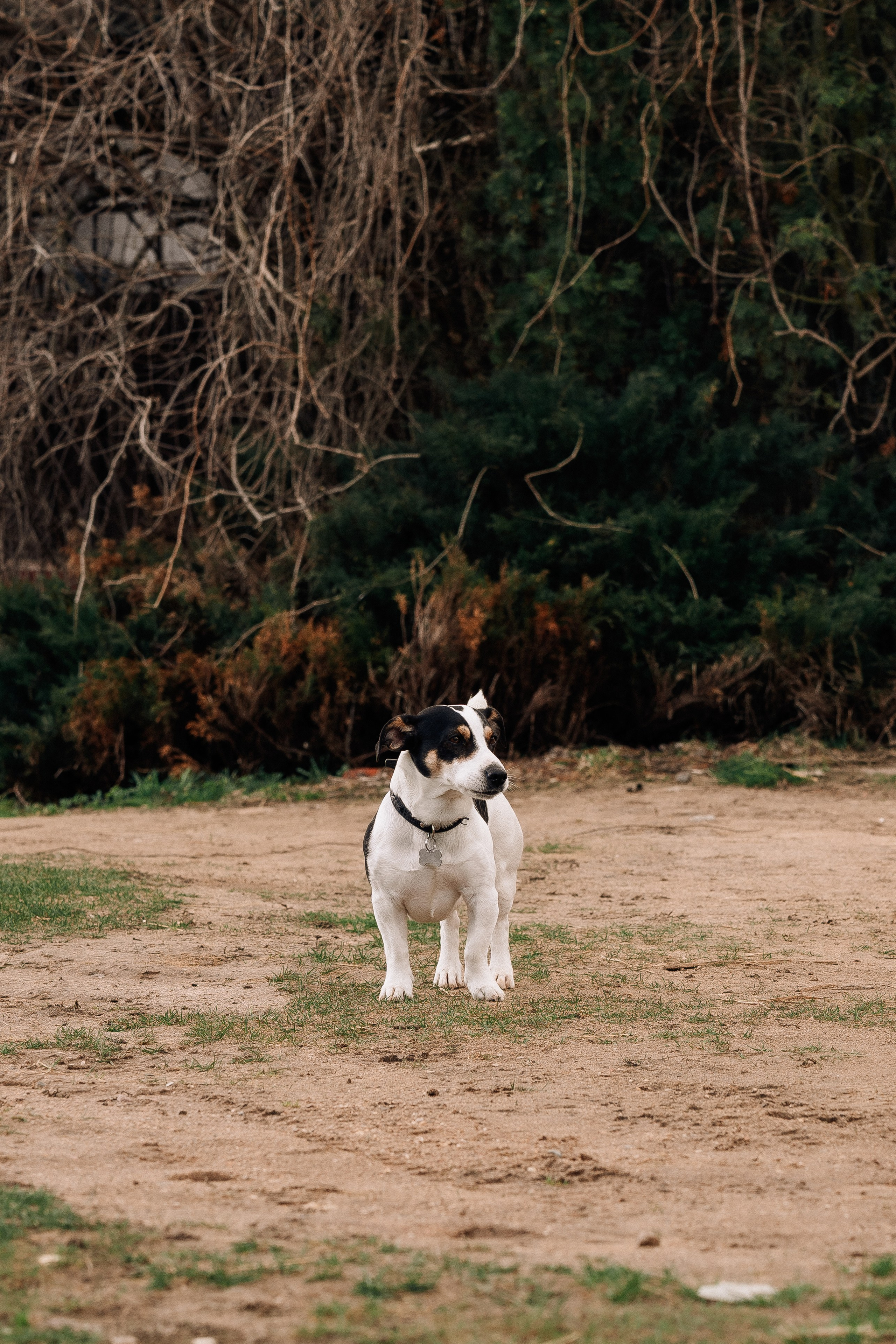 Фотосъемка мероприятия в ранчо Аванпост. Свадебный и семейный фотограф в Москве и МО Геннадий Туманцев
