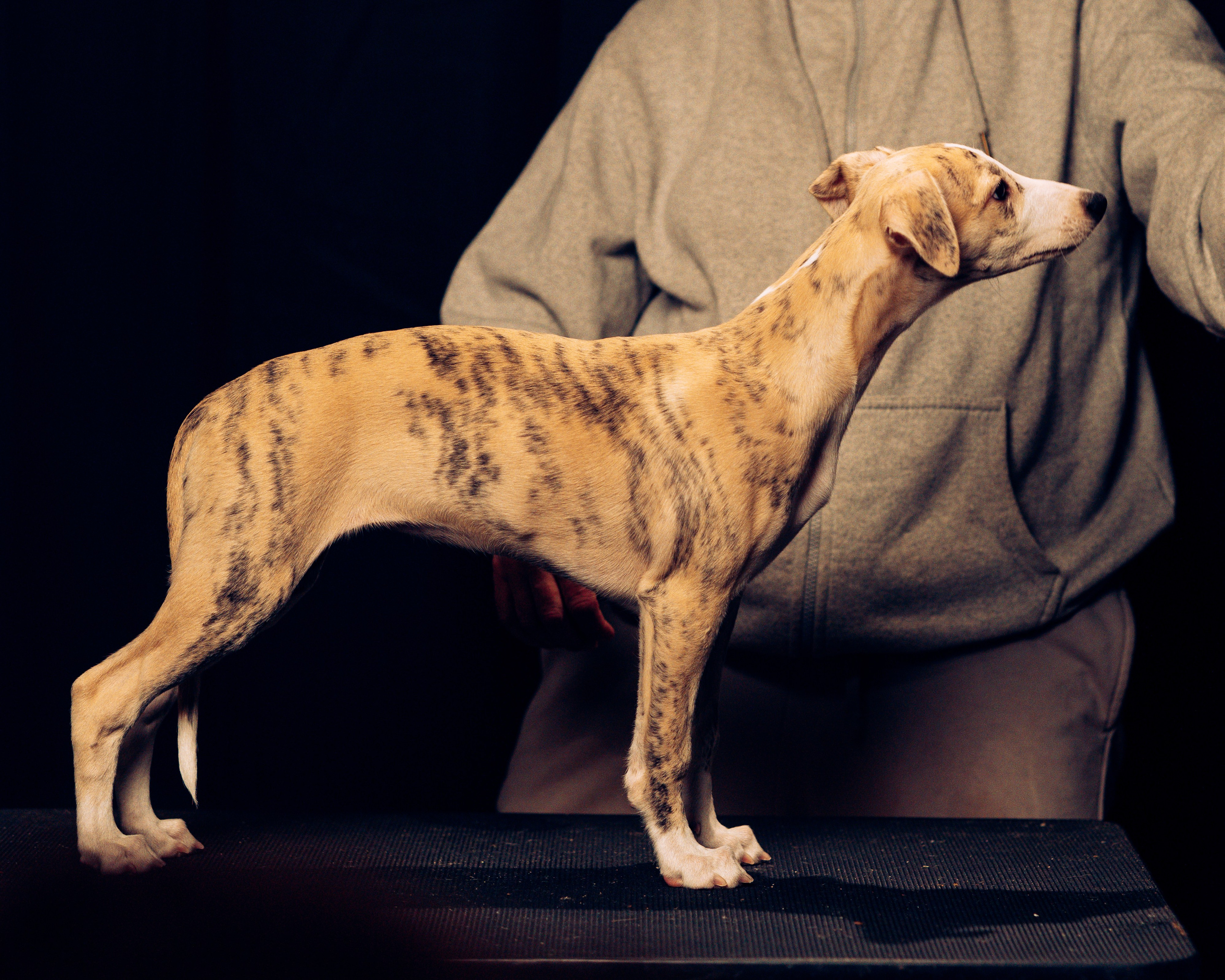 Детки-конфетки. Анна Самохина. Фотограф. Москва