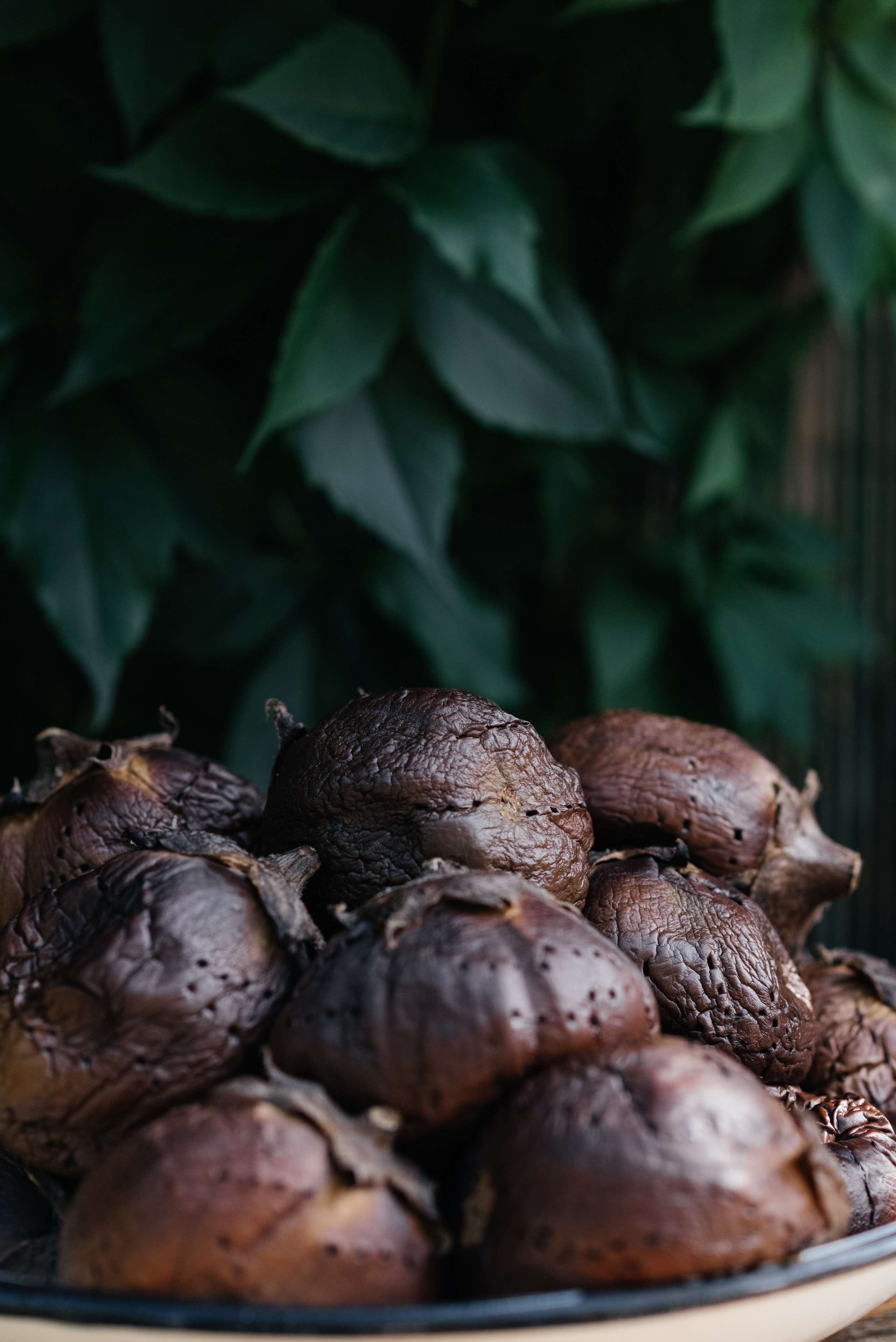 Трапези. Мержаново — гастроужин. Фотограф Елена Кучук